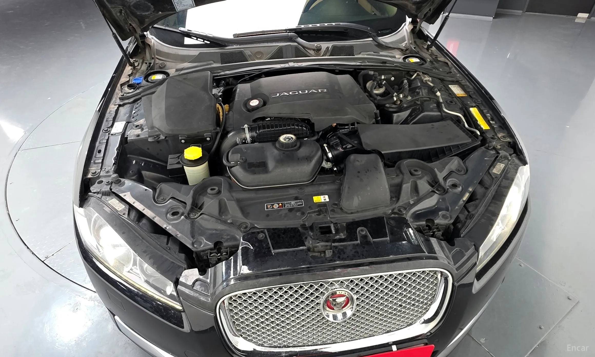 Jaguar New XF превью 6
