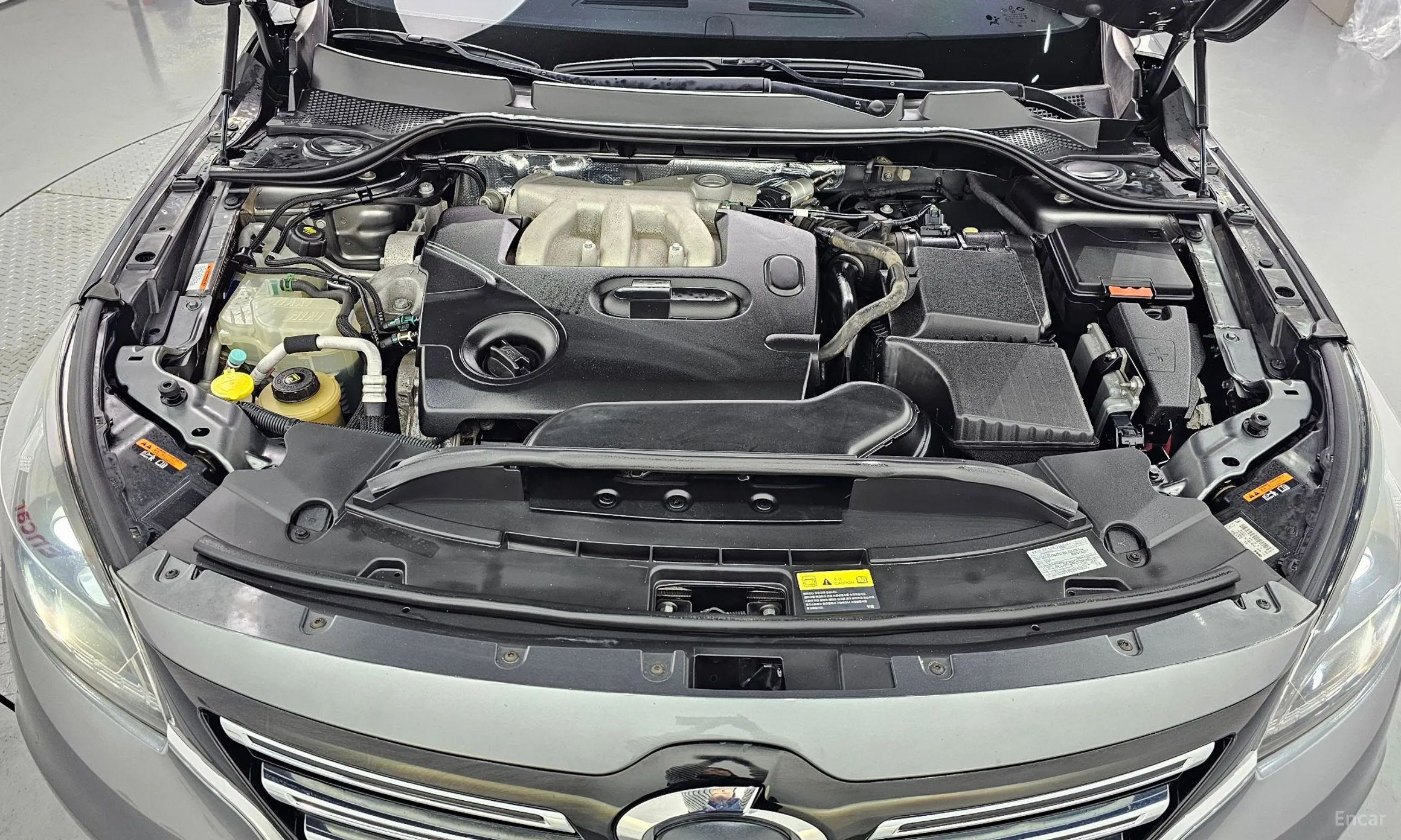Renault Korea (Samsung) SM7 превью 6