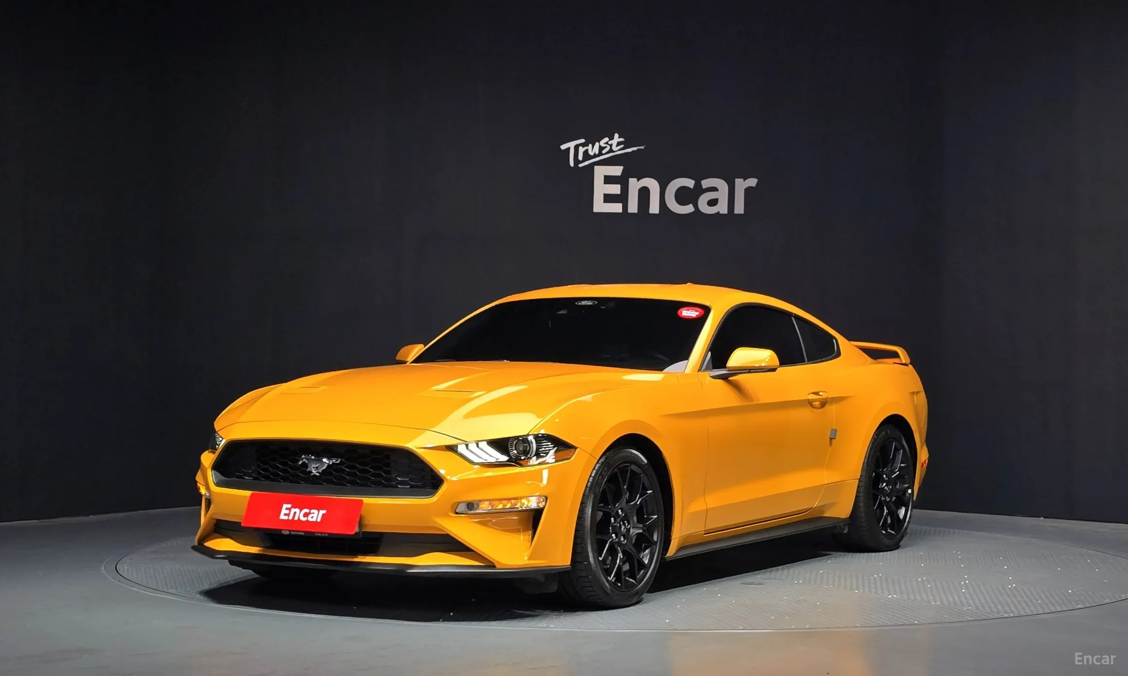 Mustang