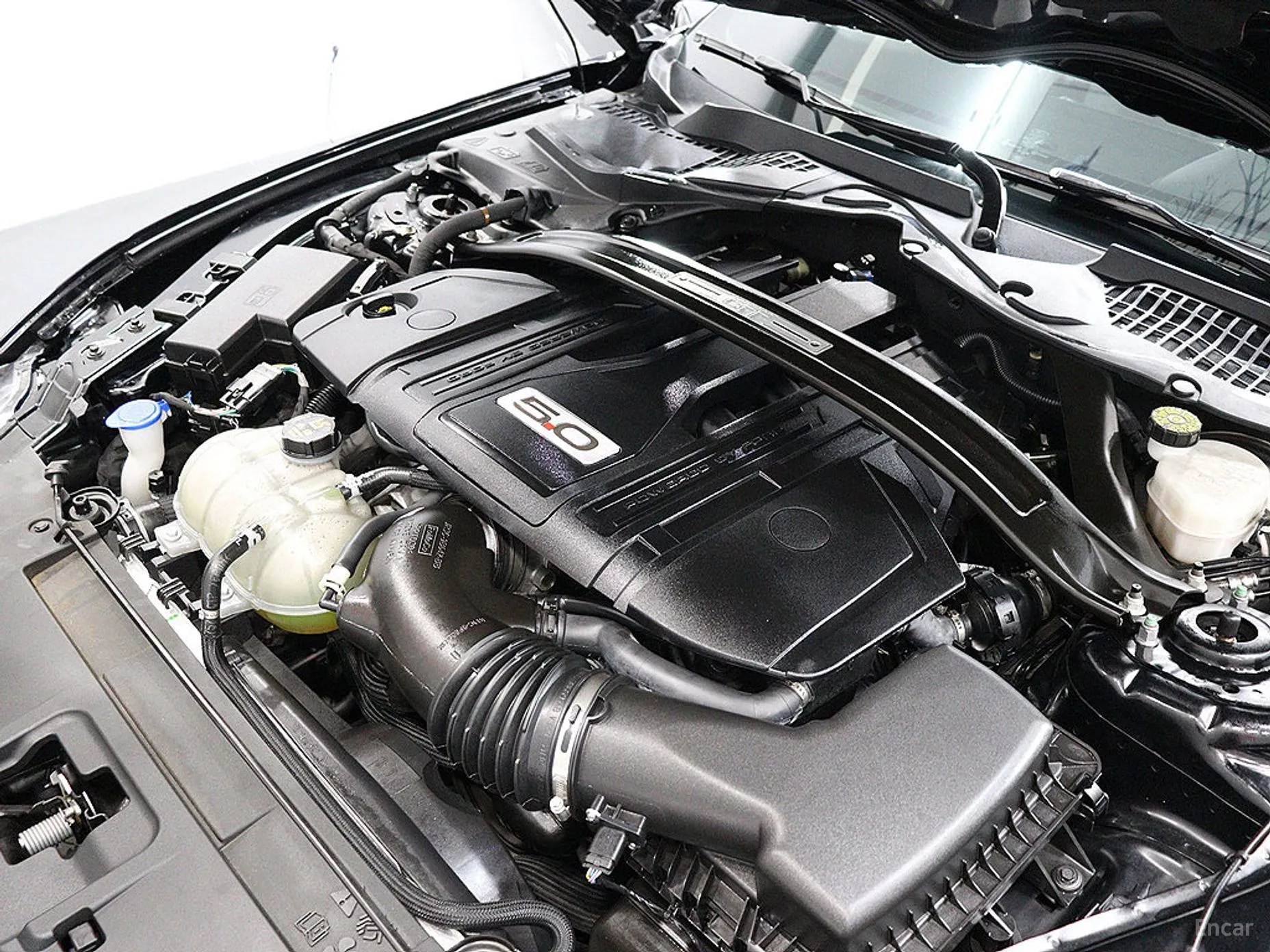 Ford Mustang превью 19