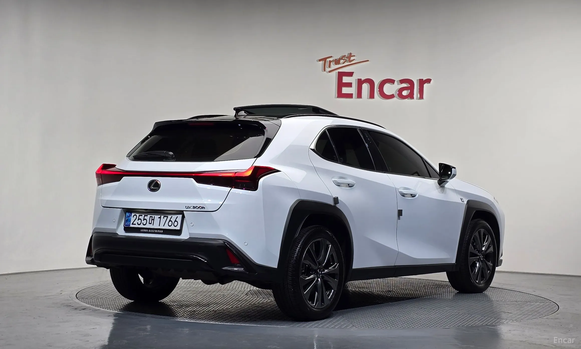 Lexus UX300h