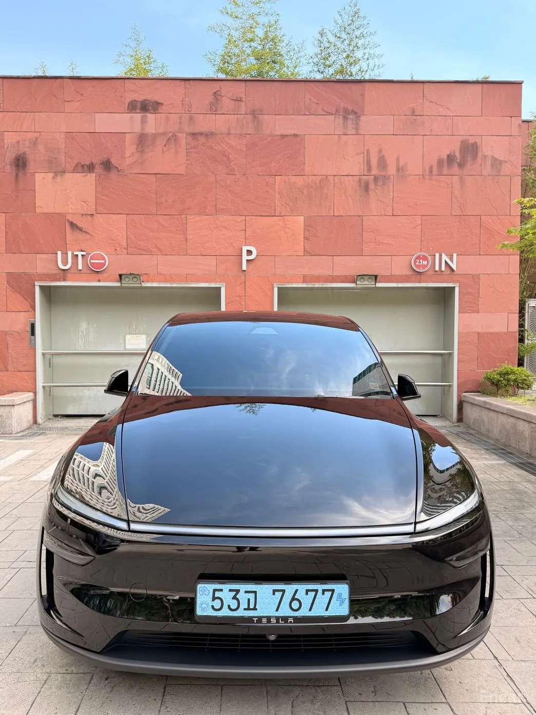 Tesla Model Y превью 3