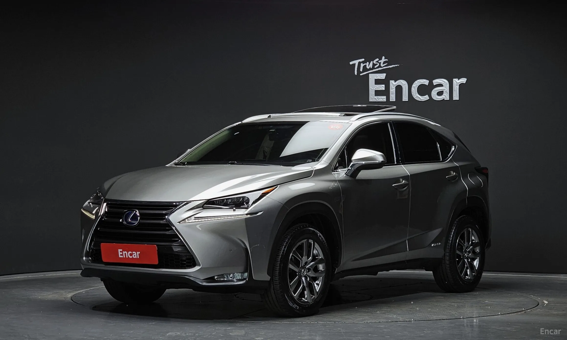 Lexus NX300h
