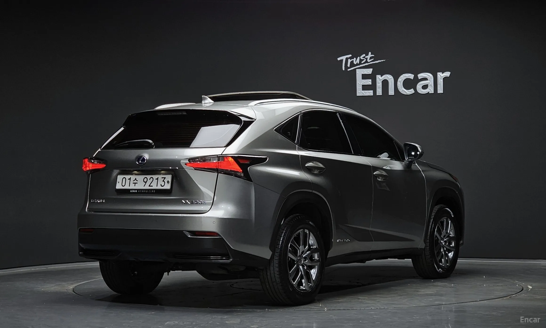 Lexus NX300h