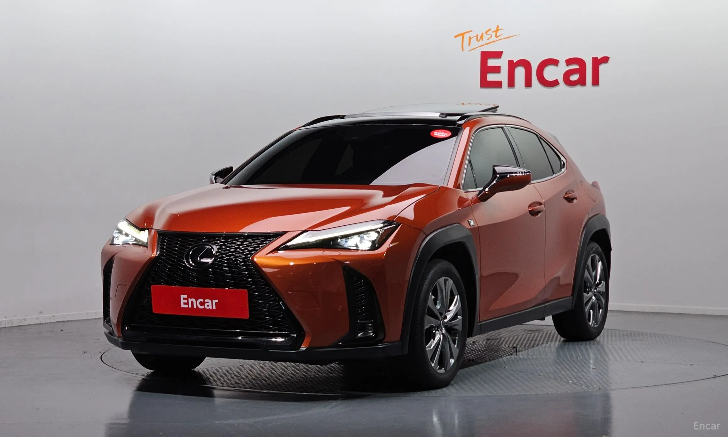 Lexus UX250h