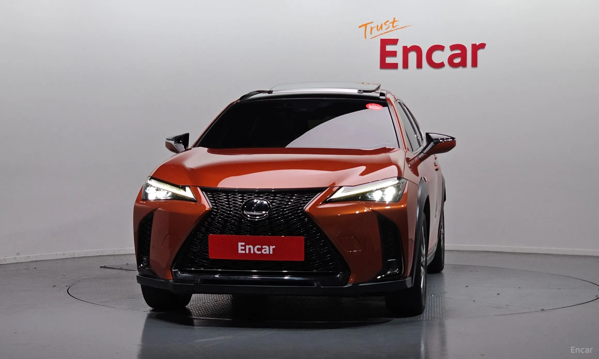 Lexus UX250h превью 3