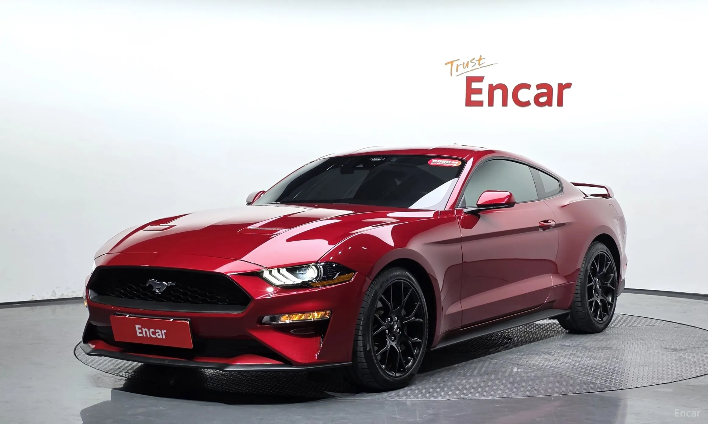 Mustang