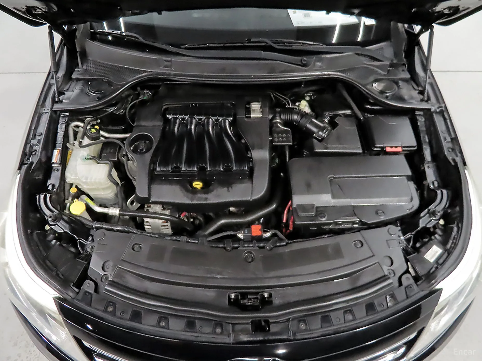 Renault Korea (Samsung) SM5 превью 19