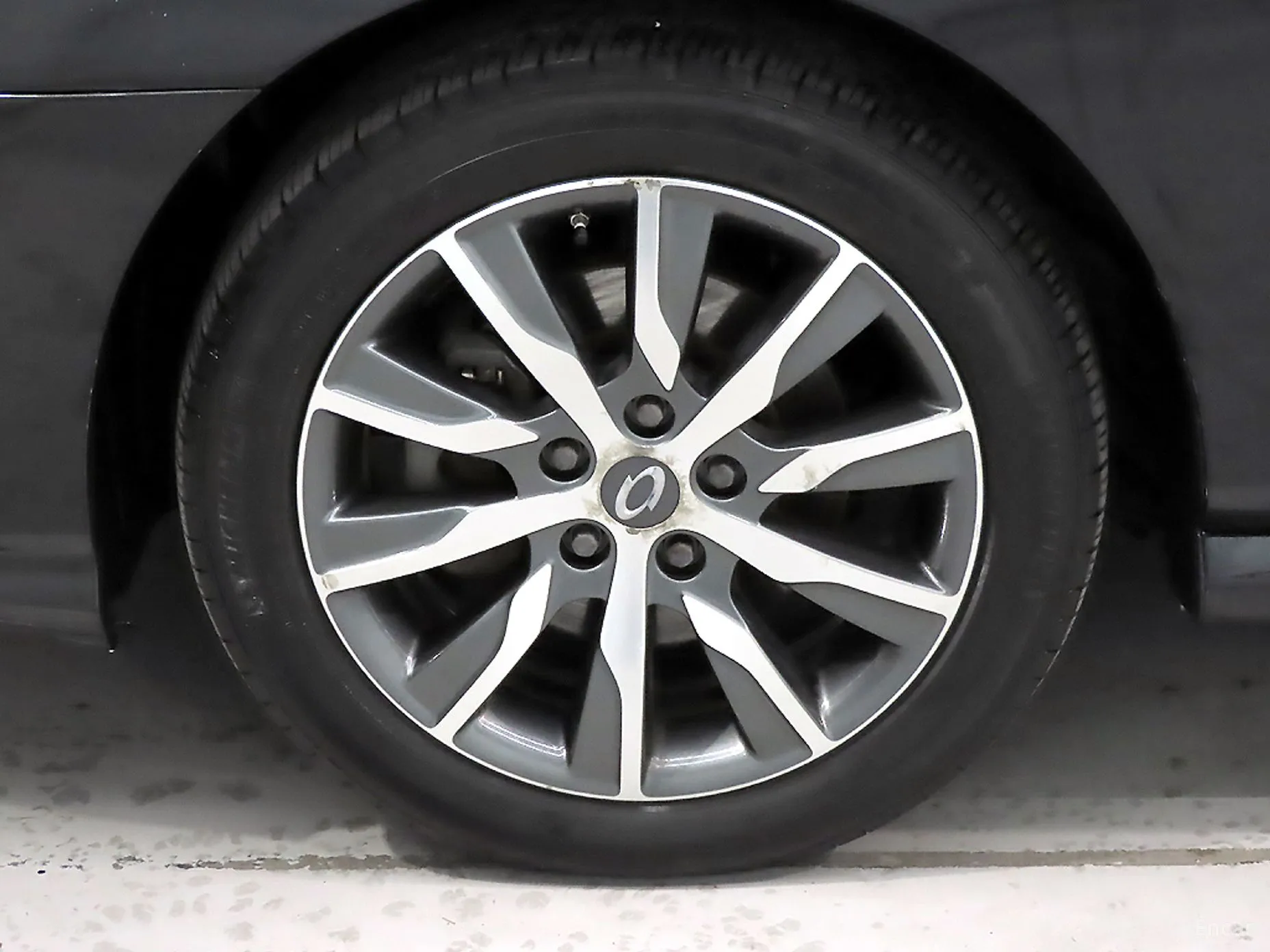 Renault Korea (Samsung) SM5 превью 20