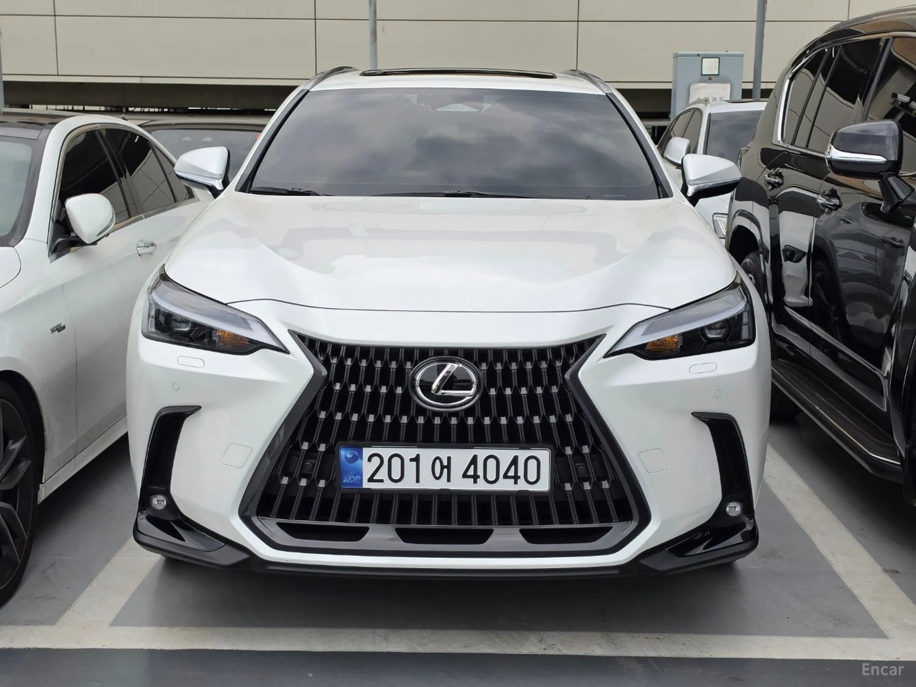 Lexus NX350h Gen 2