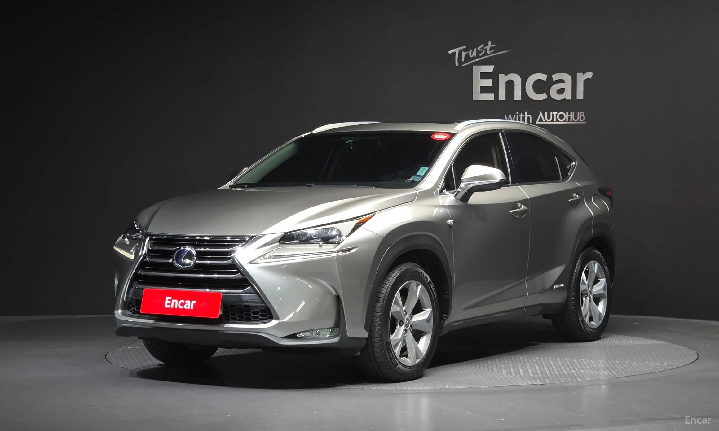 Lexus NX300h