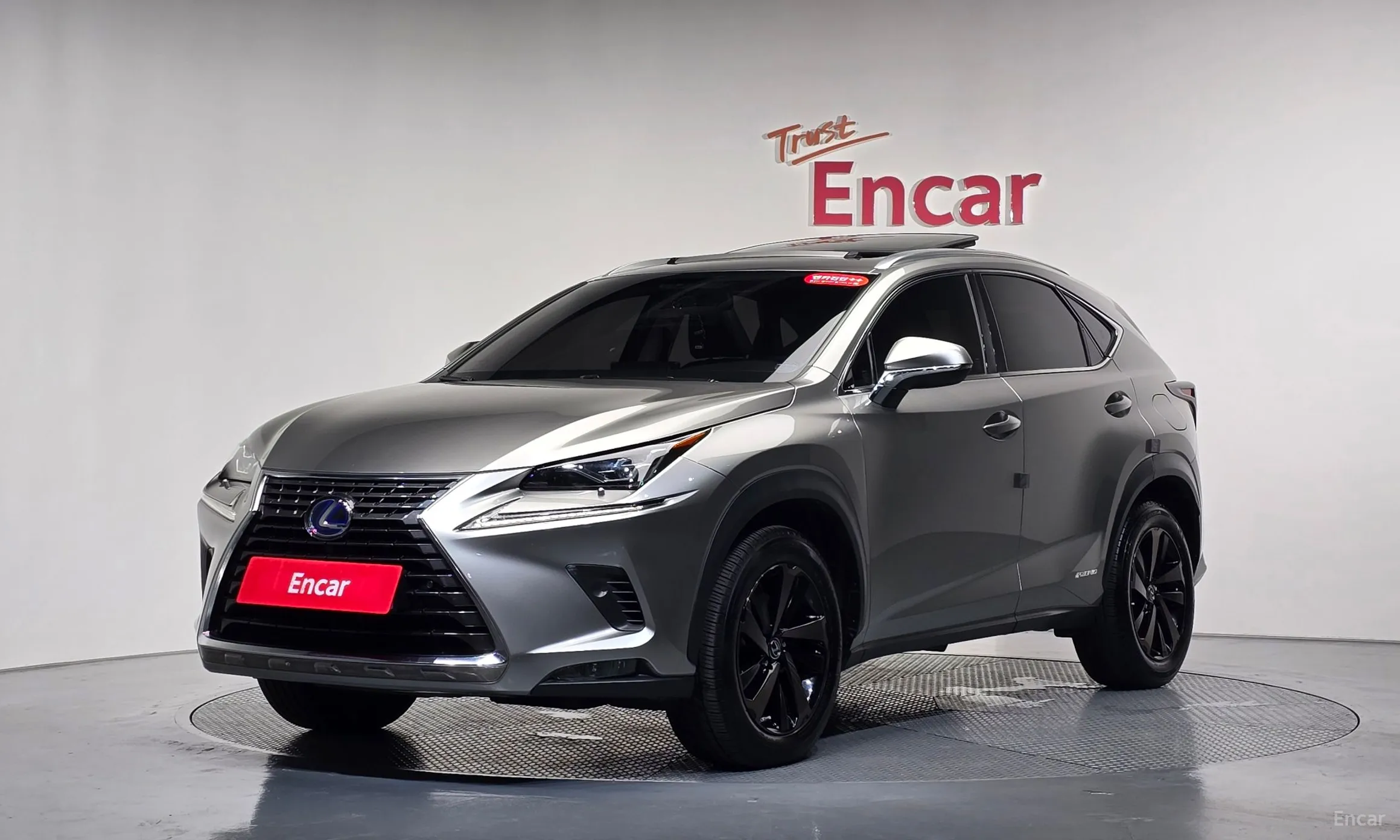 Lexus NX300h