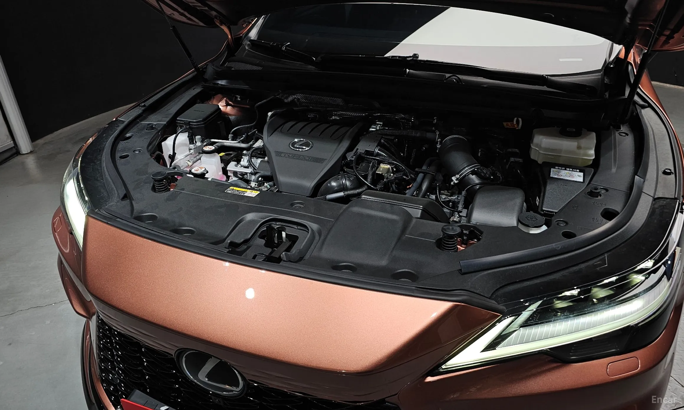 Lexus RX500h 5th Generation превью 6