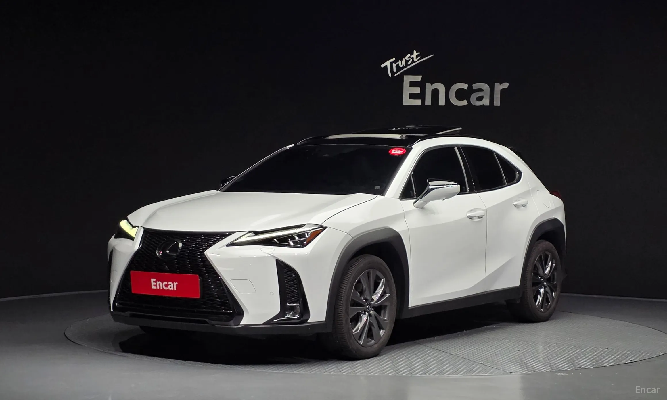Lexus UX250h
