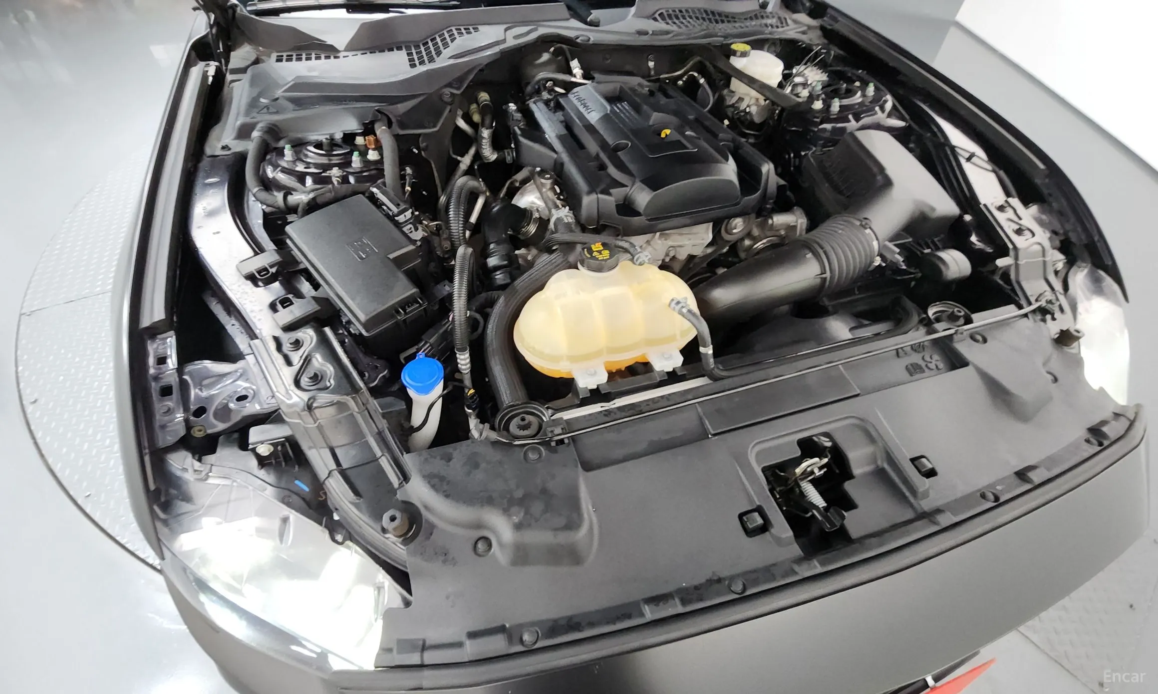Ford Mustang превью 6