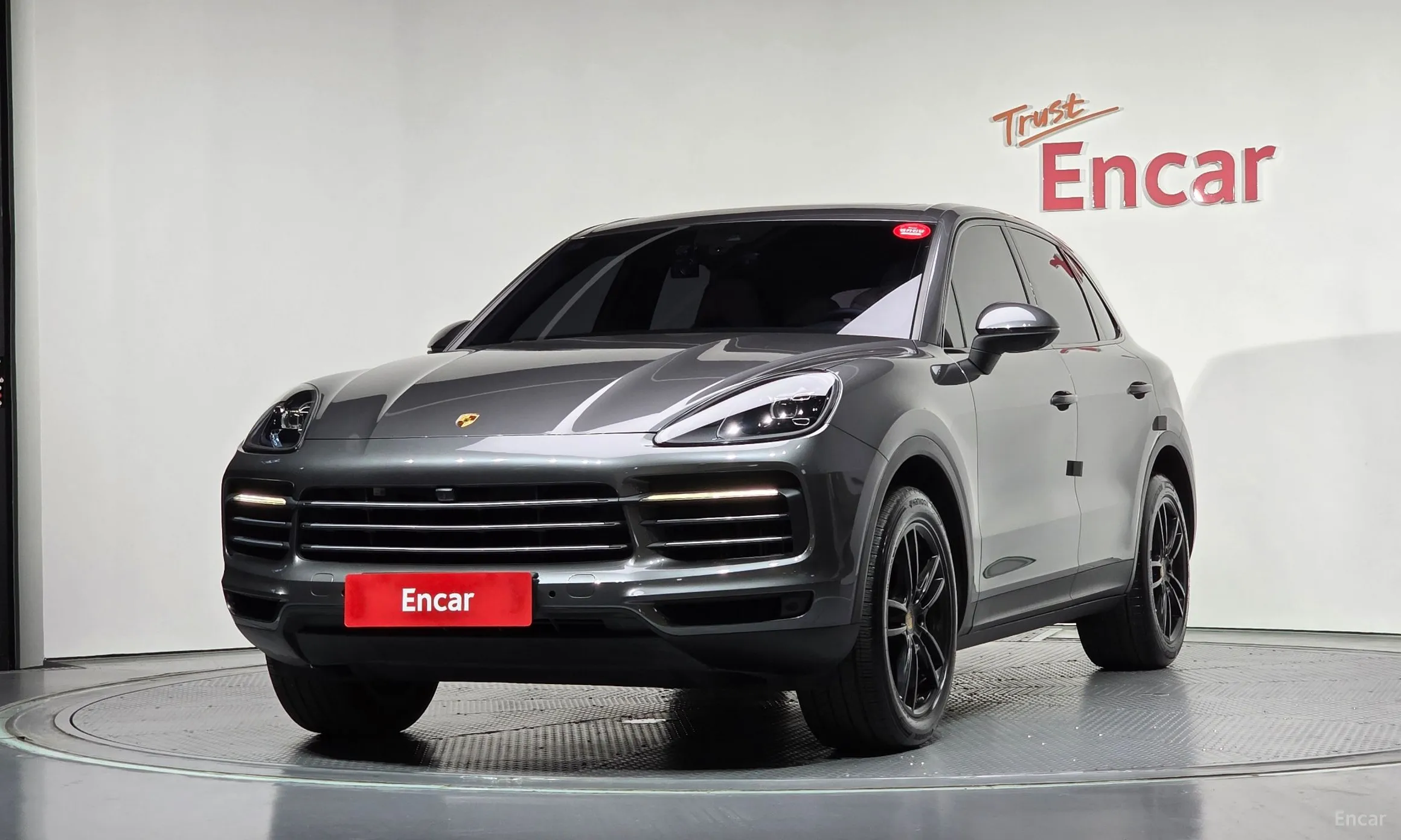 Cayenne (PO536)