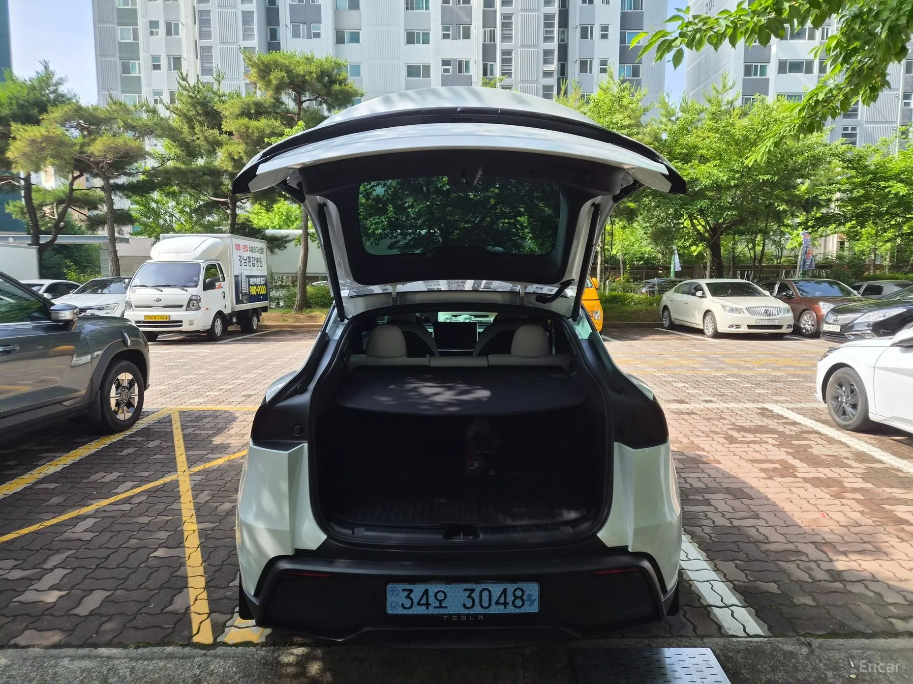 Tesla Model Y превью 19