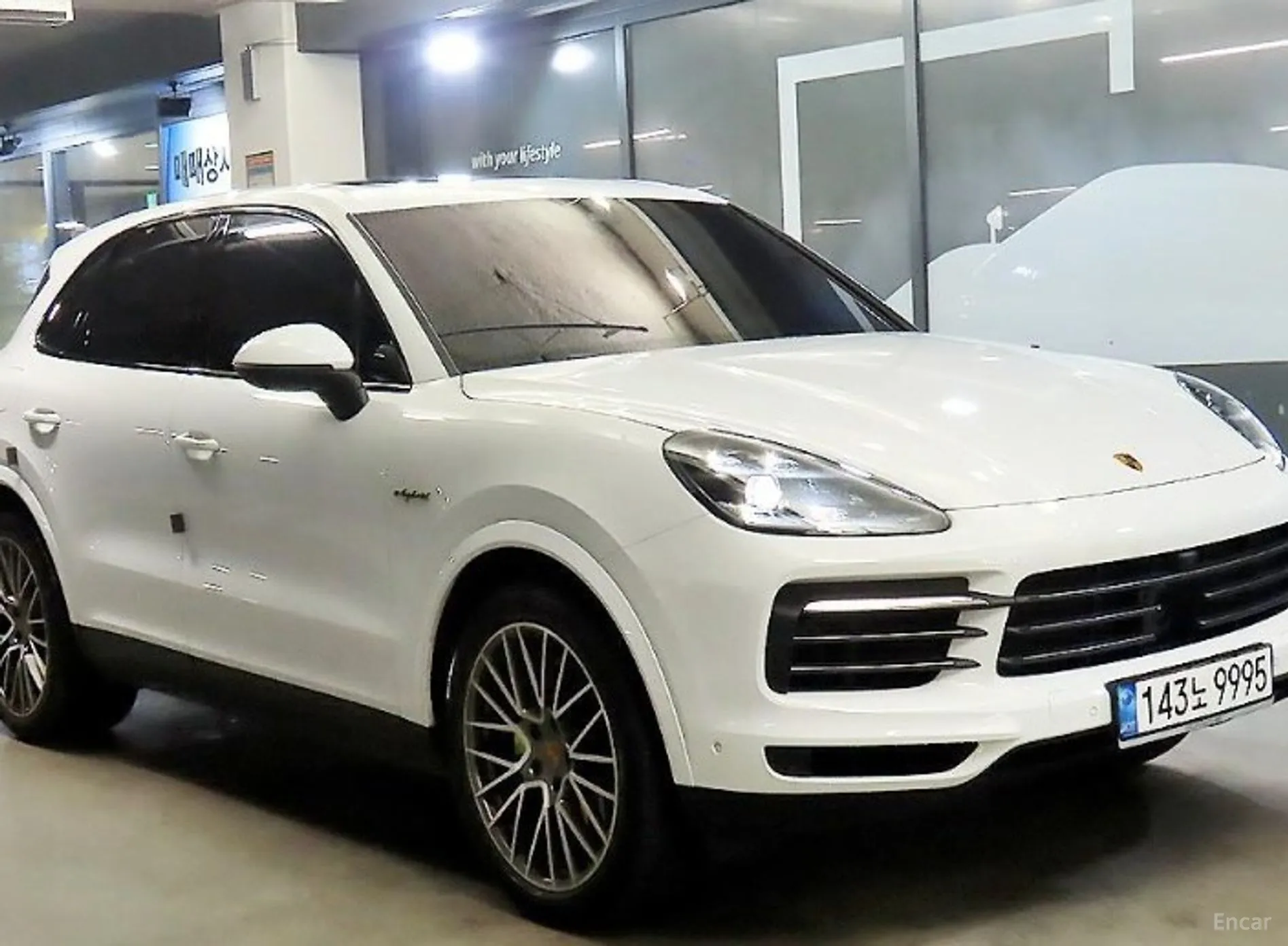 Cayenne (PO536)