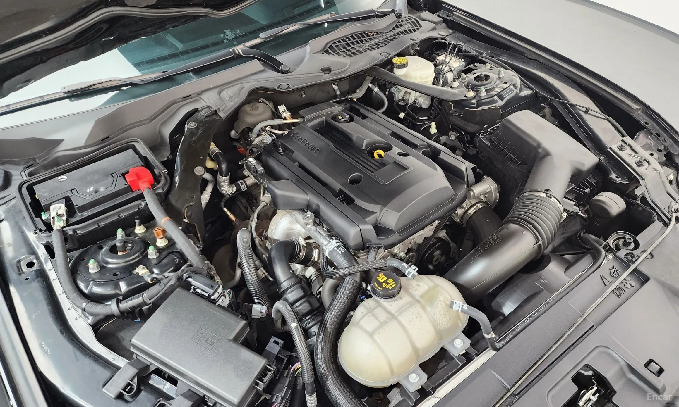 Ford Mustang превью 6