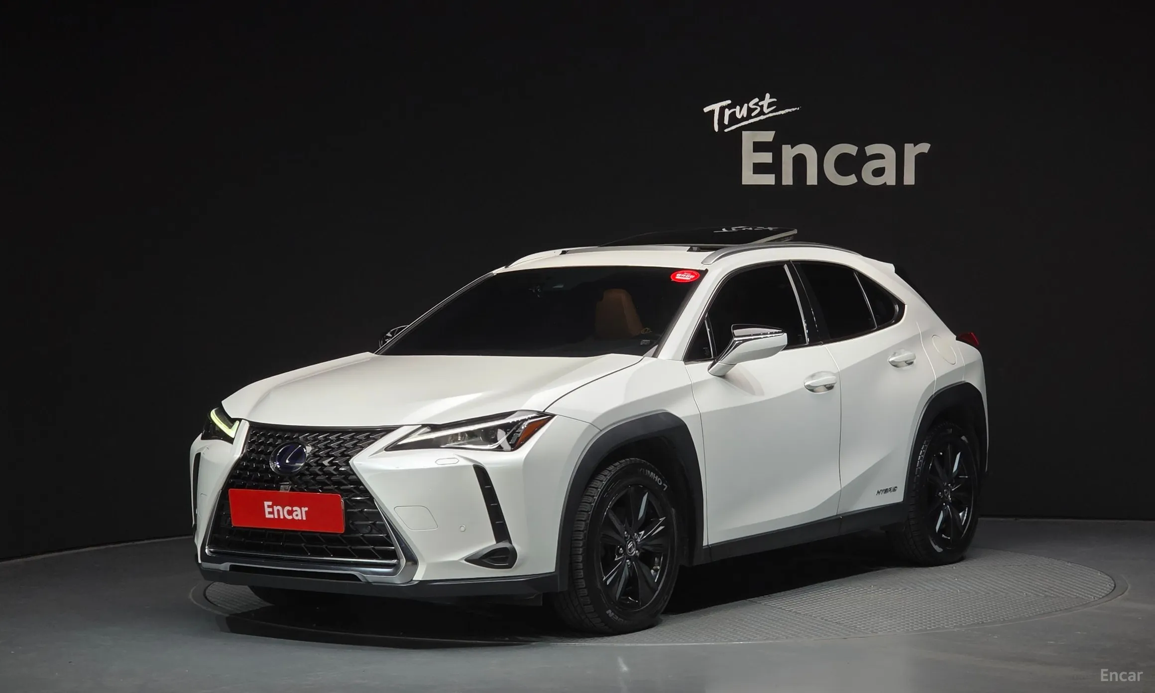 Lexus UX250h