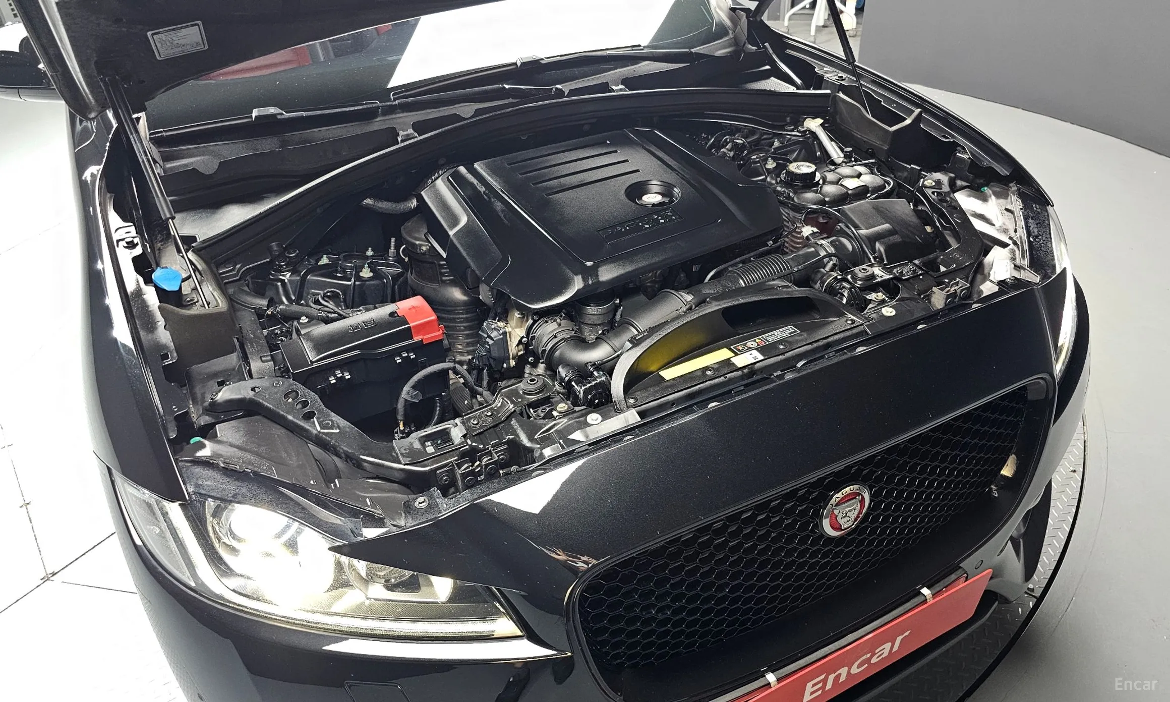 Jaguar F-PACE превью 6