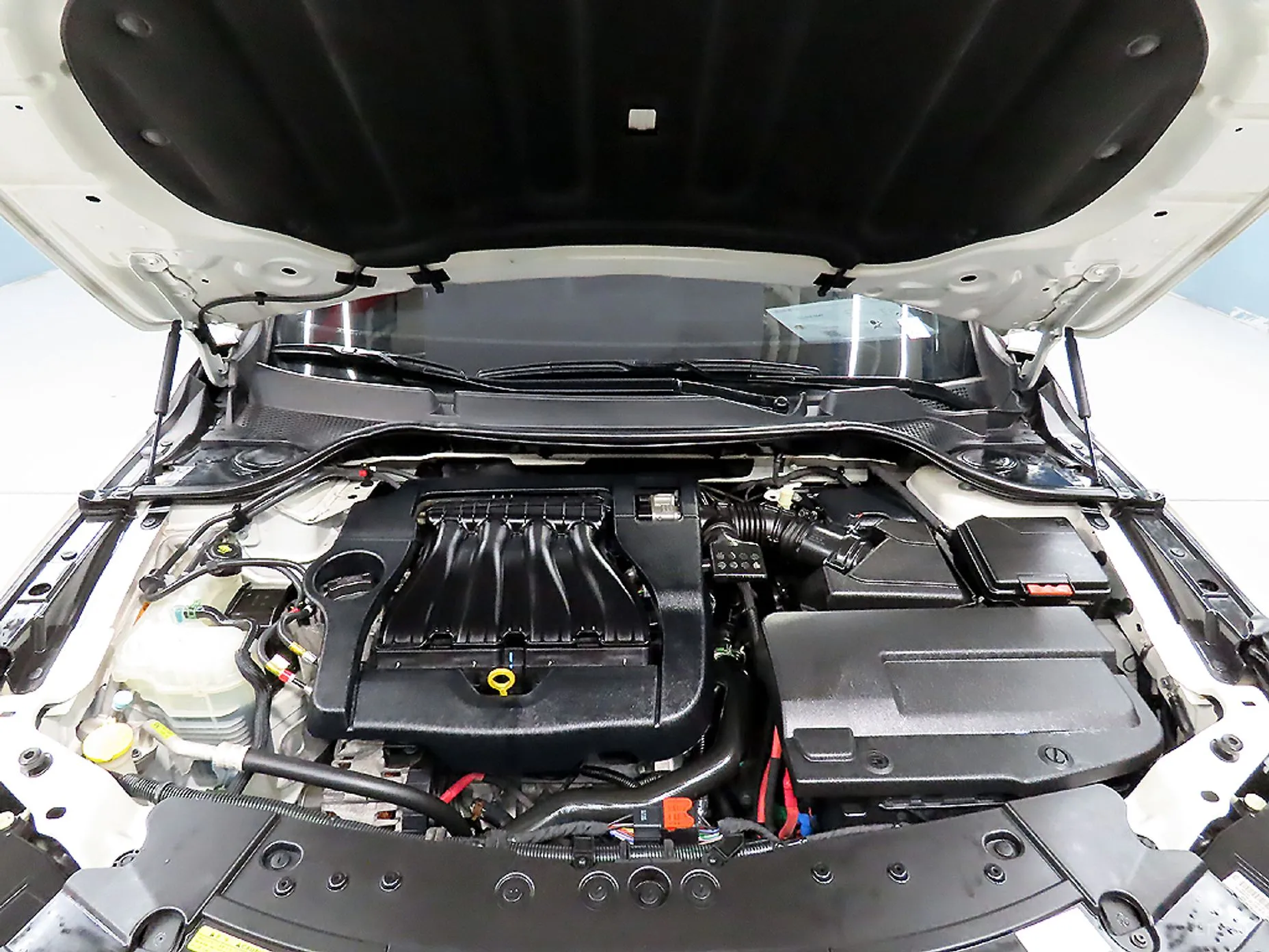Renault Korea (Samsung) SM7 превью 6