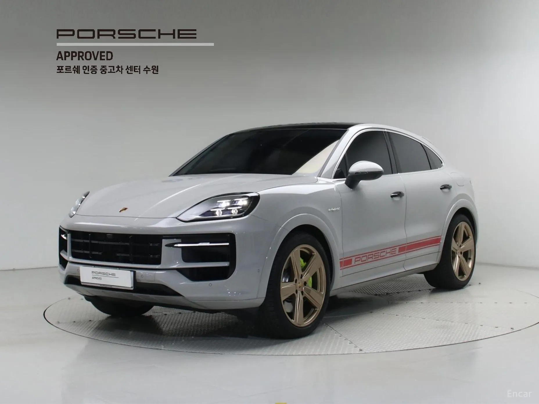 Cayenne (PO536)