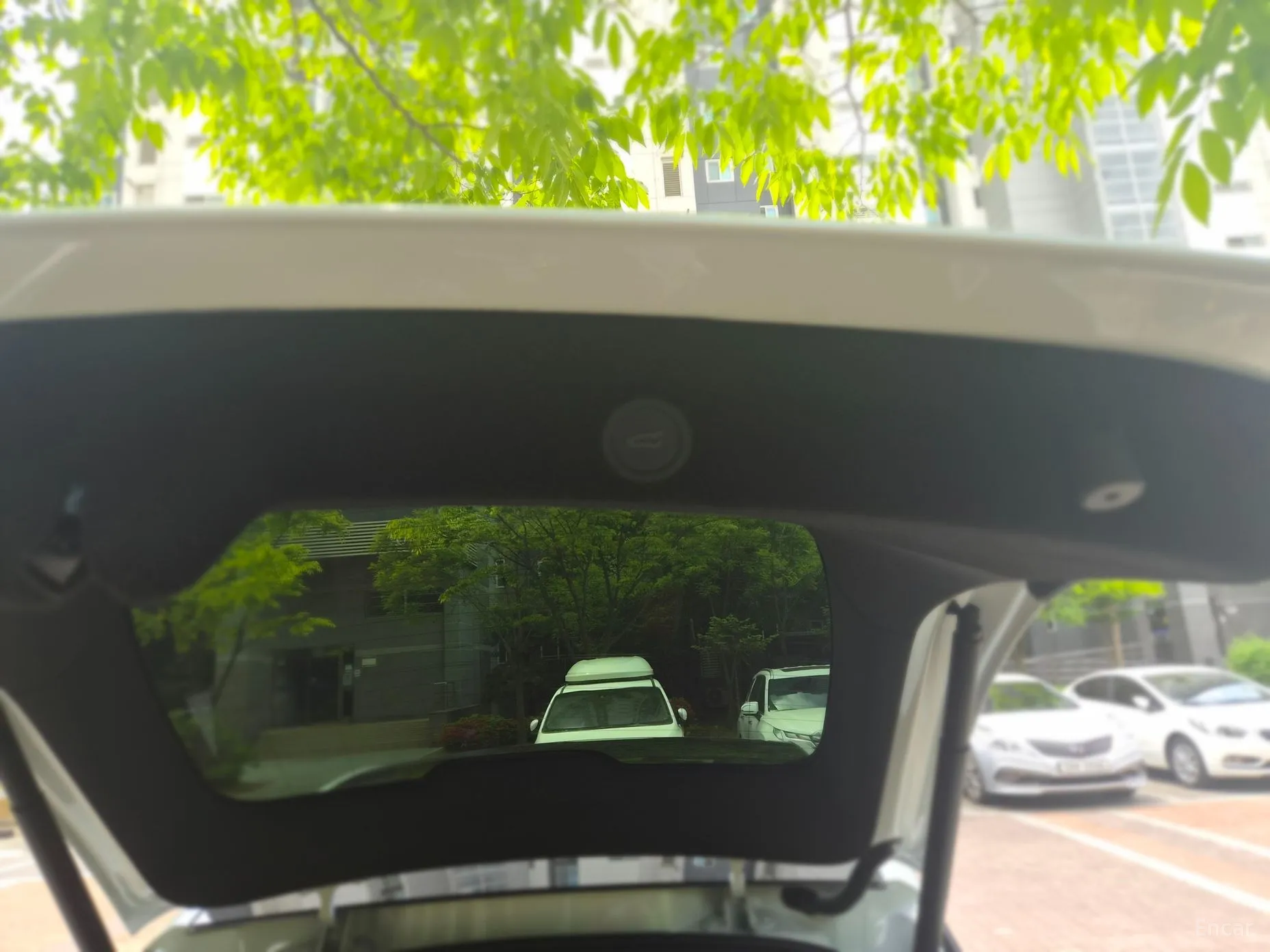 Tesla Model Y превью 18