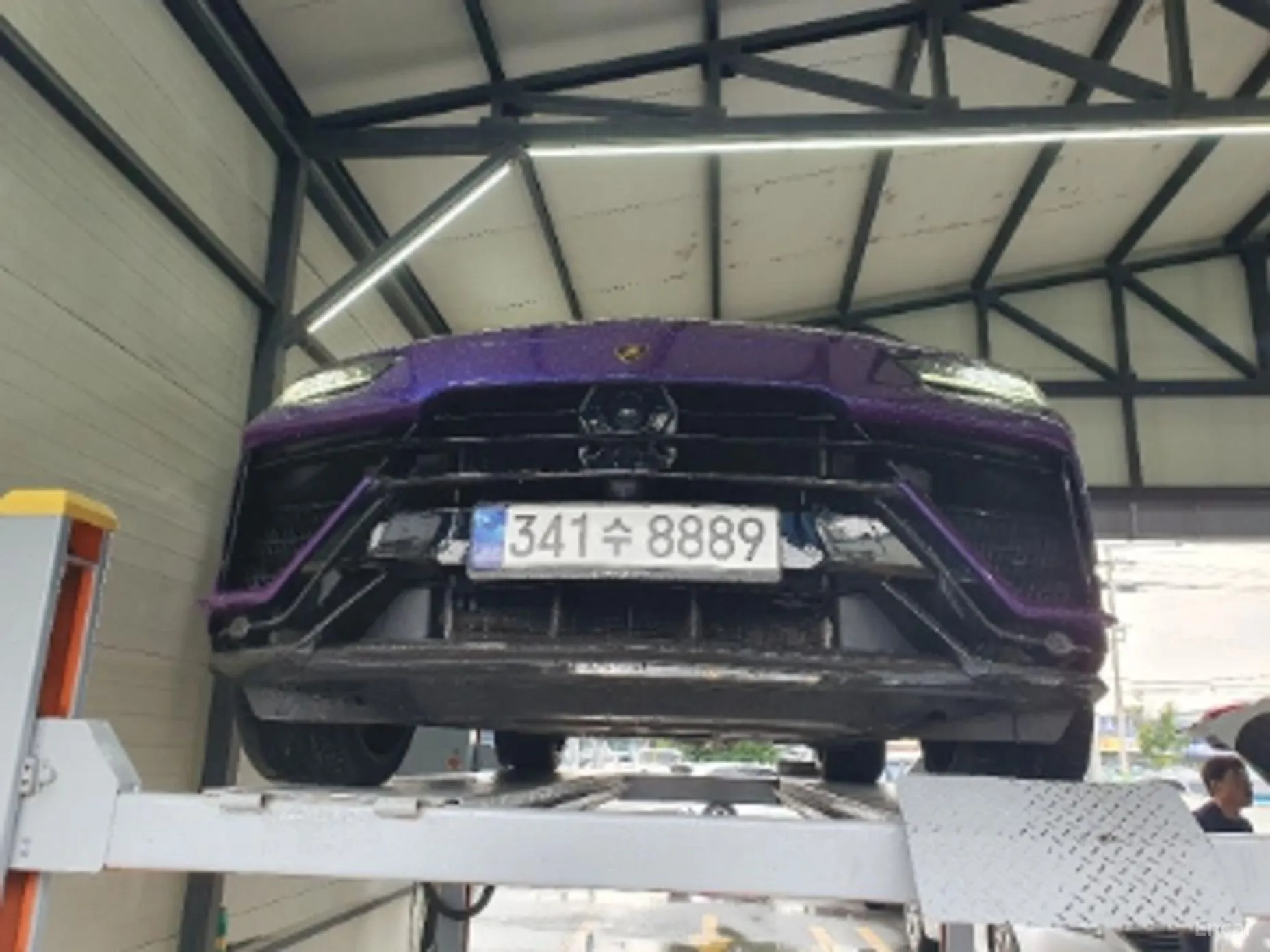 Urus