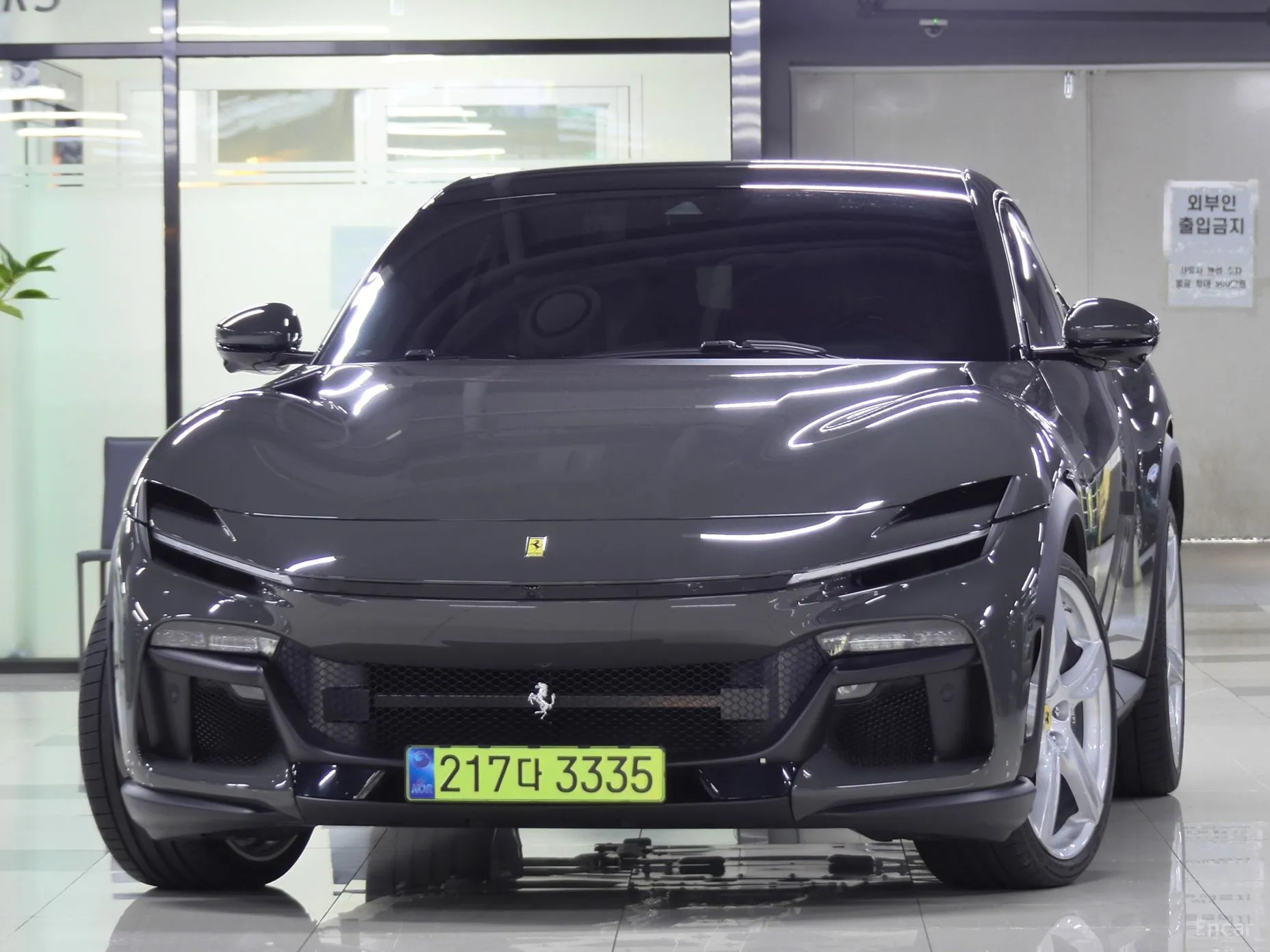 Ferrari Puro Sange