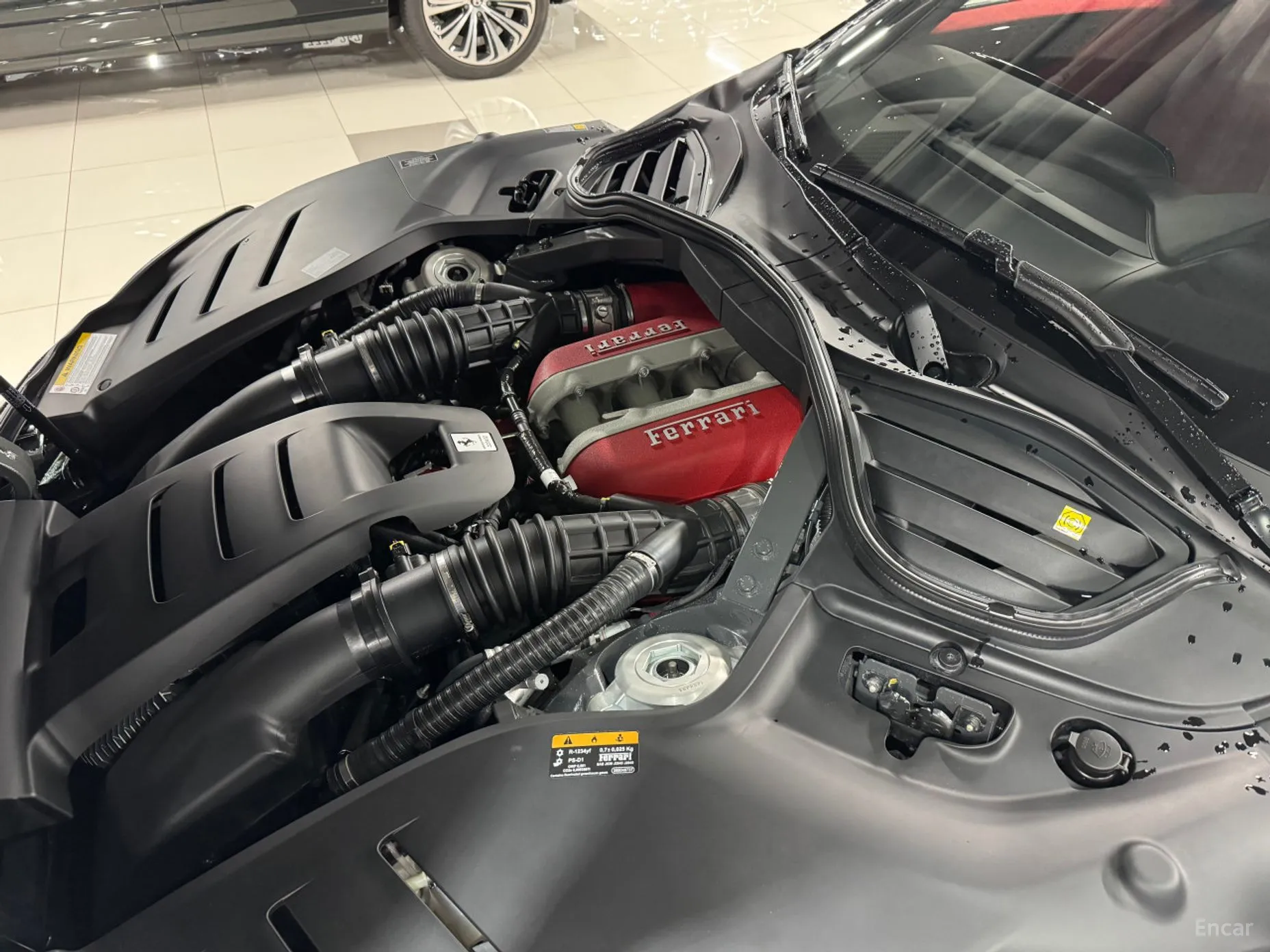 Ferrari Puro Sange превью 15