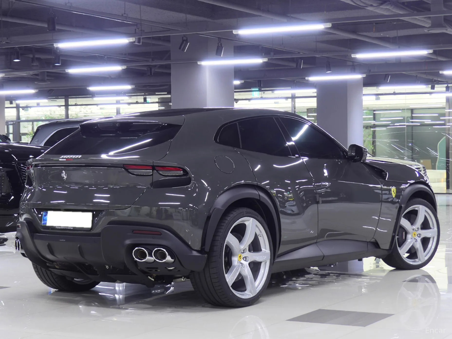 Ferrari Puro Sange превью 3
