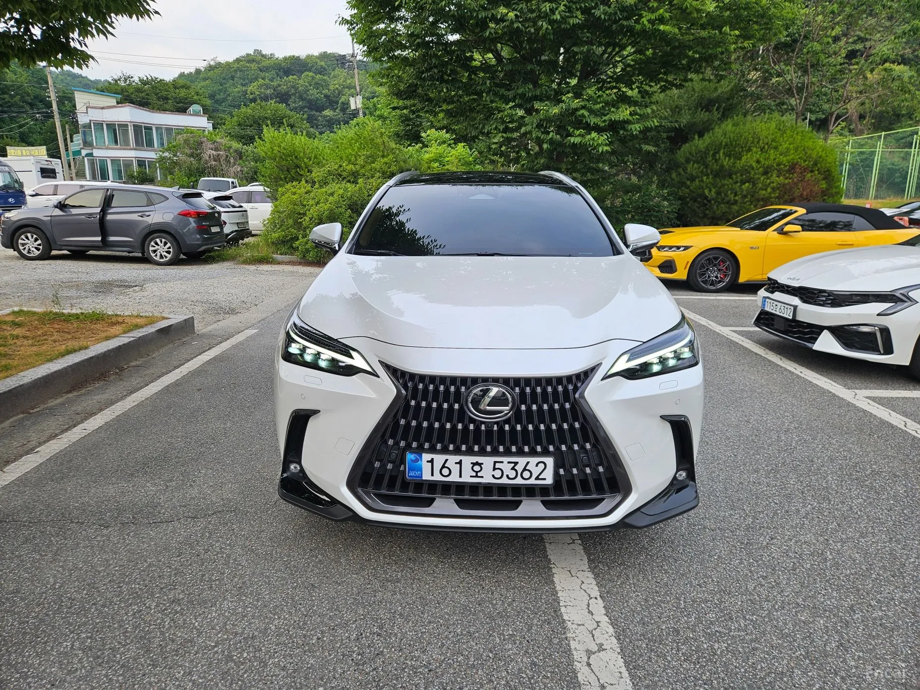 Lexus NX350h Gen 2