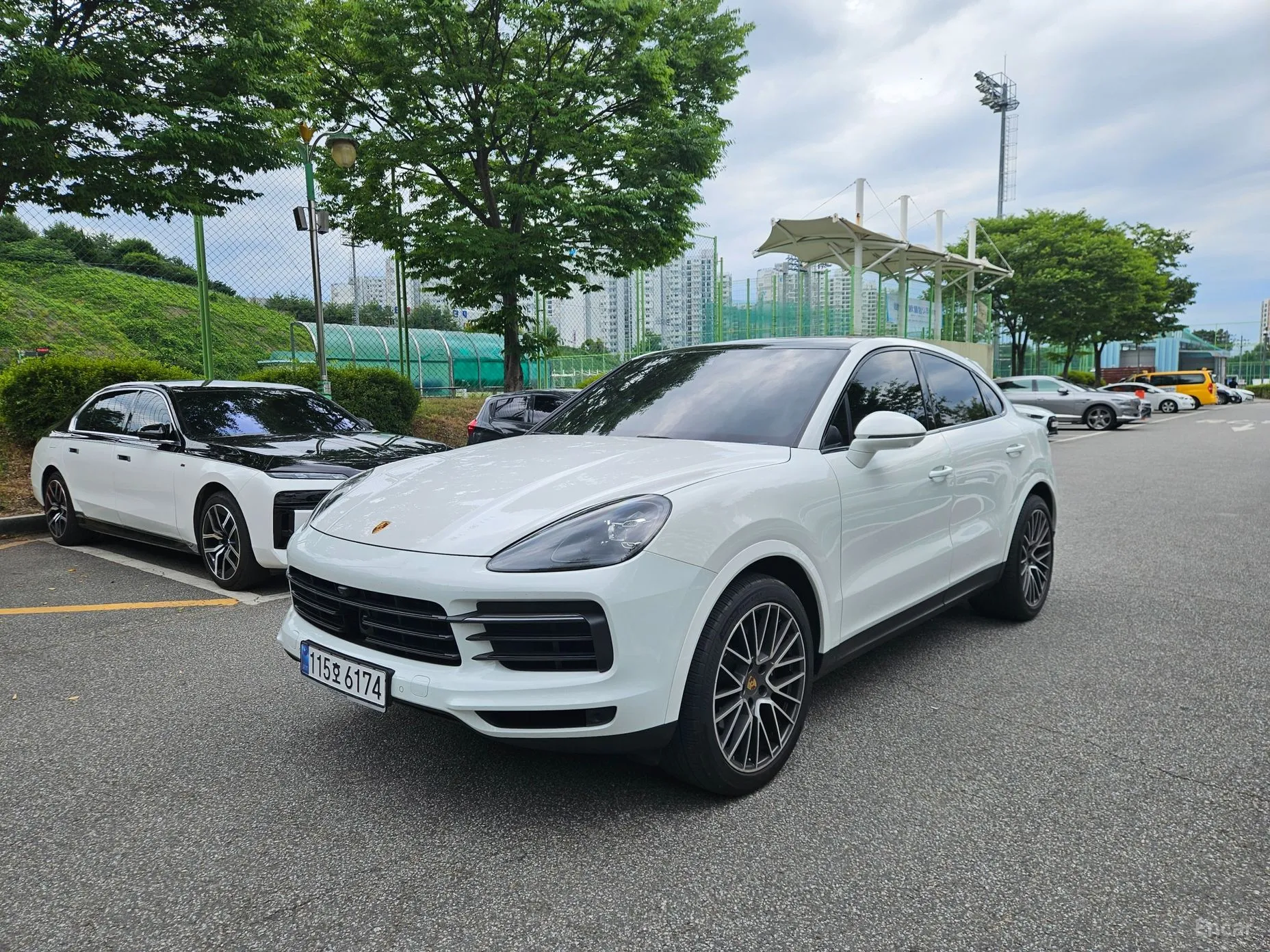Cayenne (PO536)