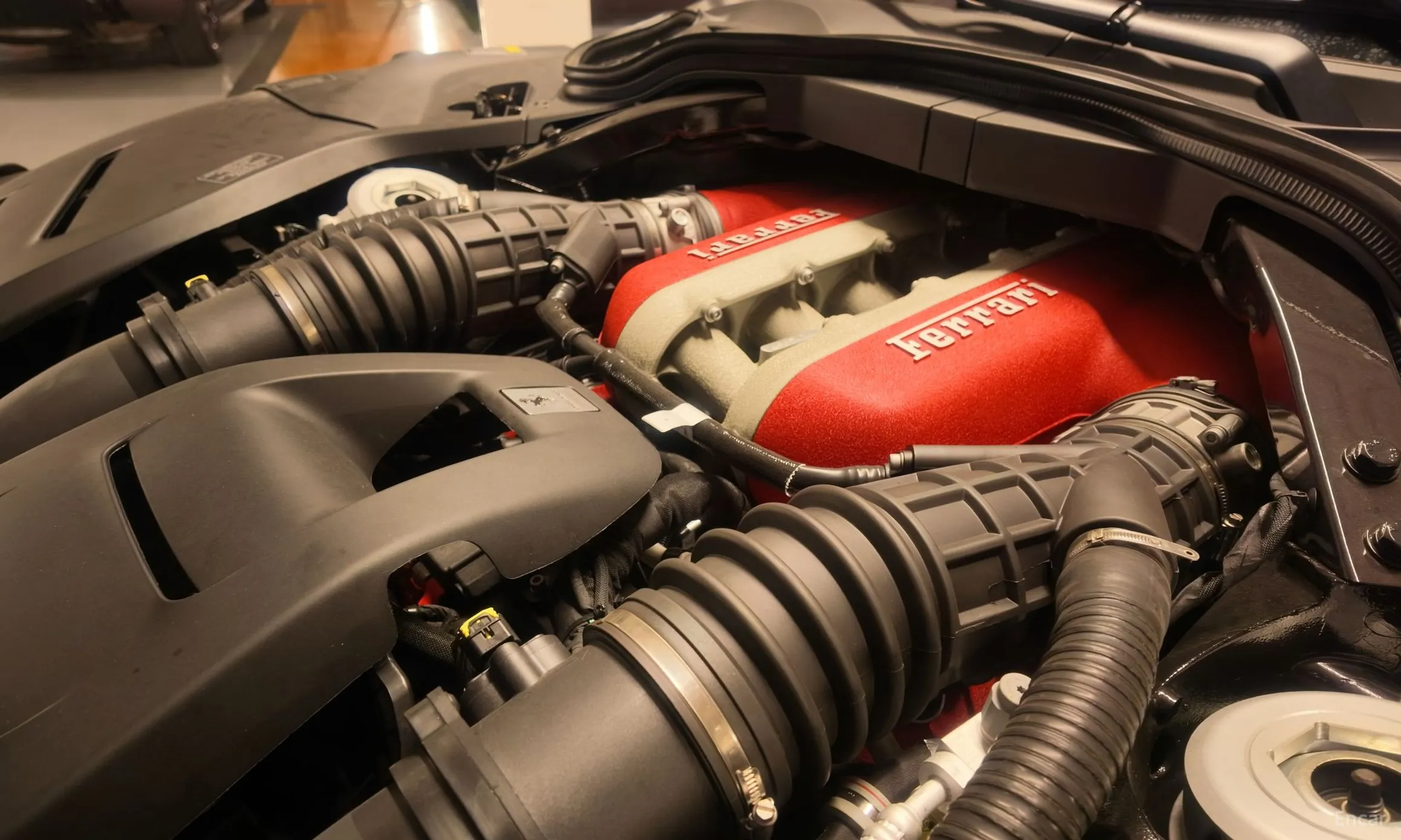 Ferrari Puro Sange превью 8