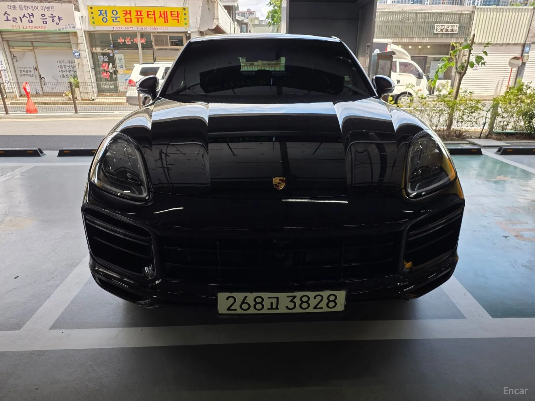 Cayenne (PO536)