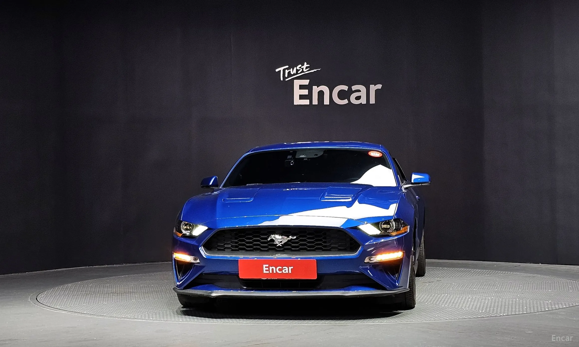 Ford Mustang превью 3