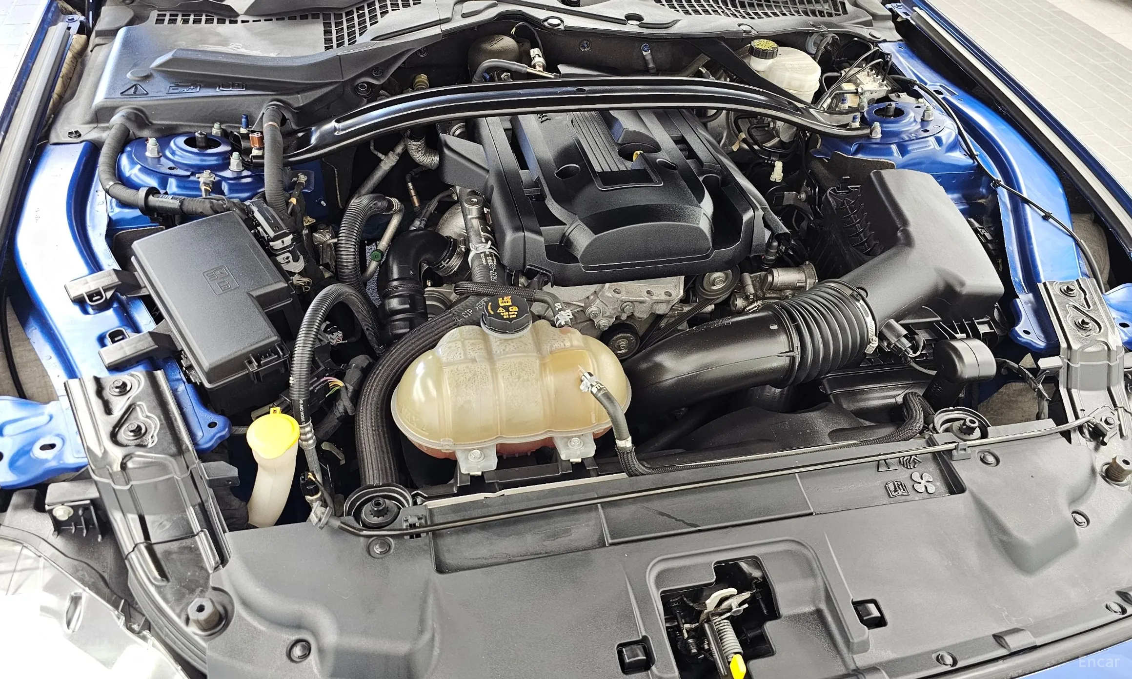 Ford Mustang превью 6
