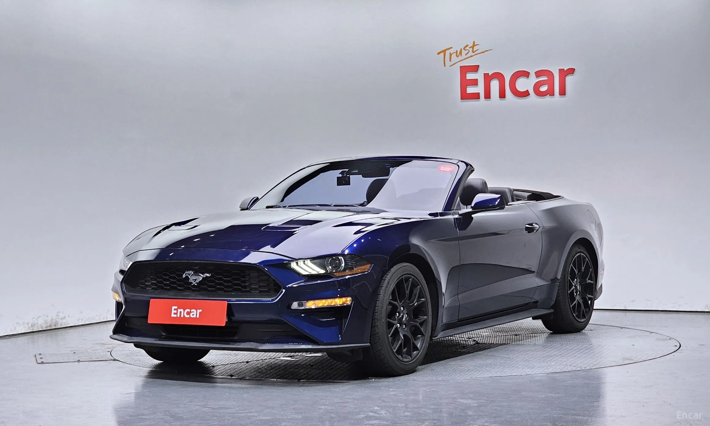 Mustang