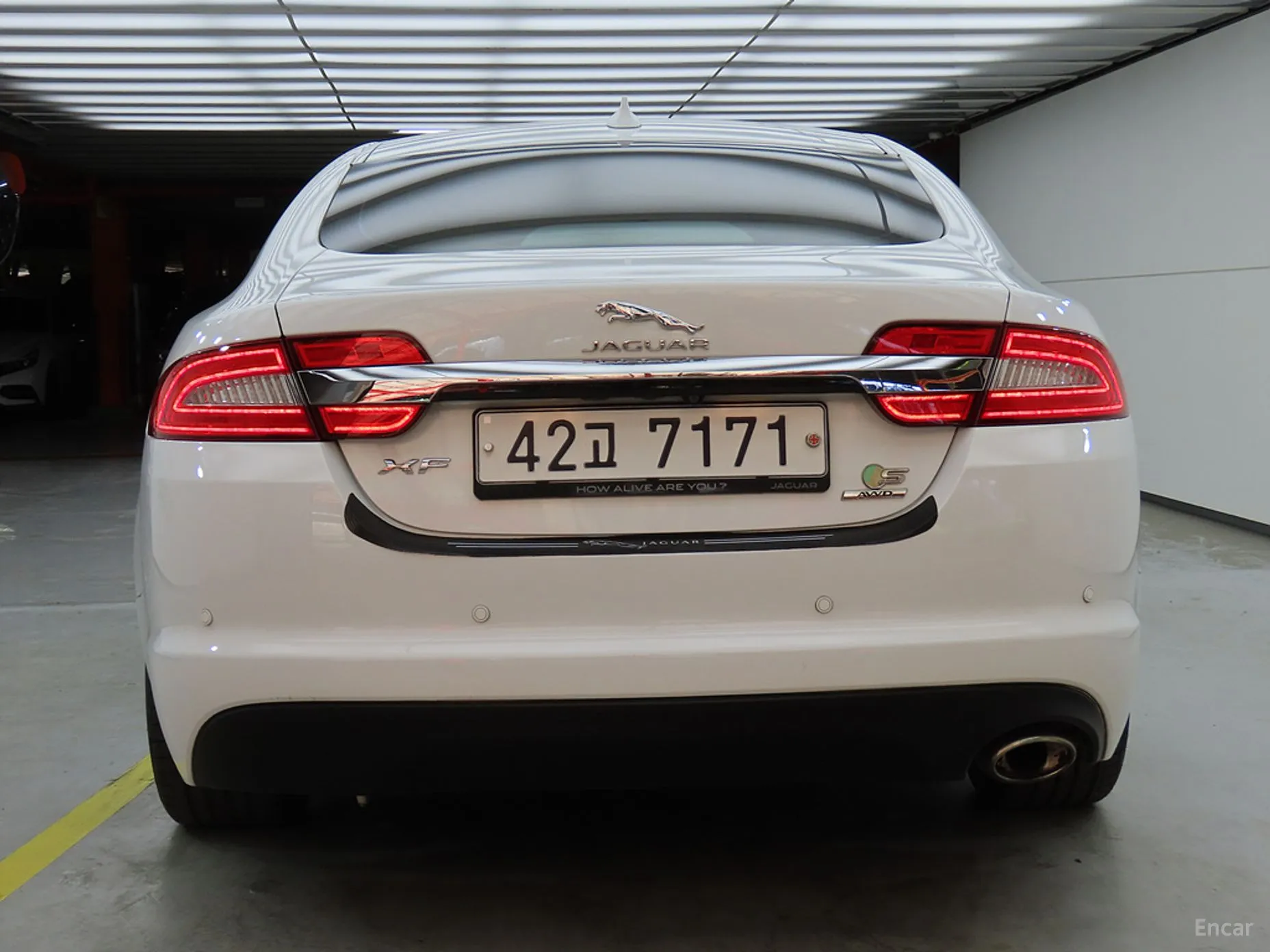 Jaguar New XF превью 4