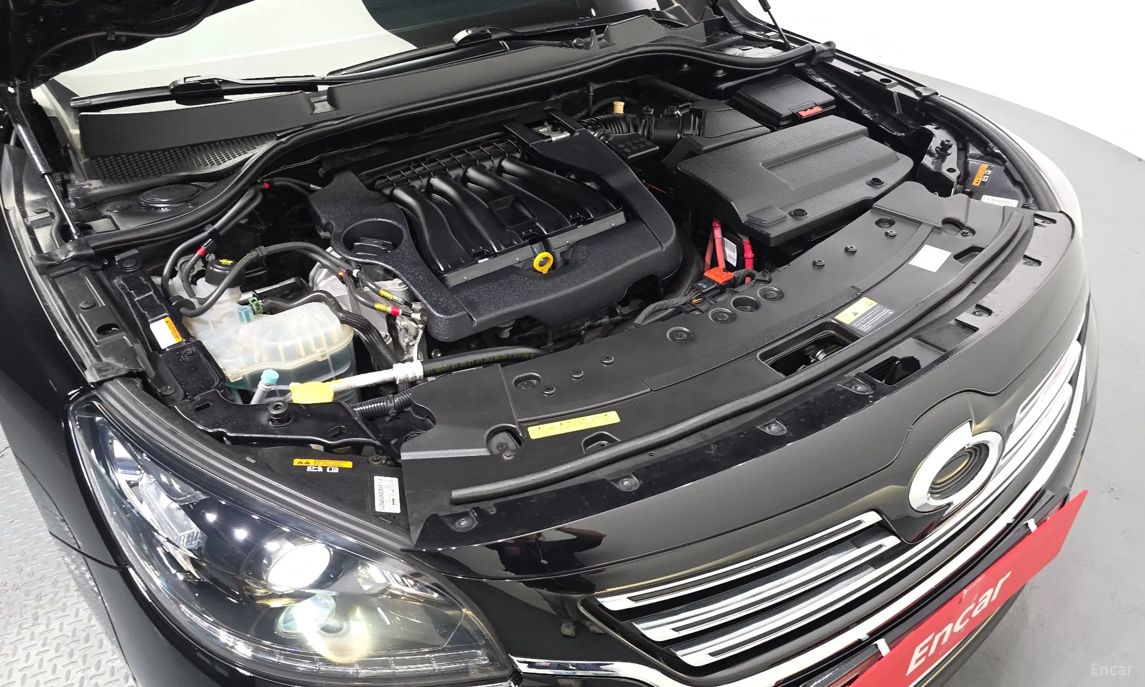 Renault Korea (Samsung) SM7 превью 6