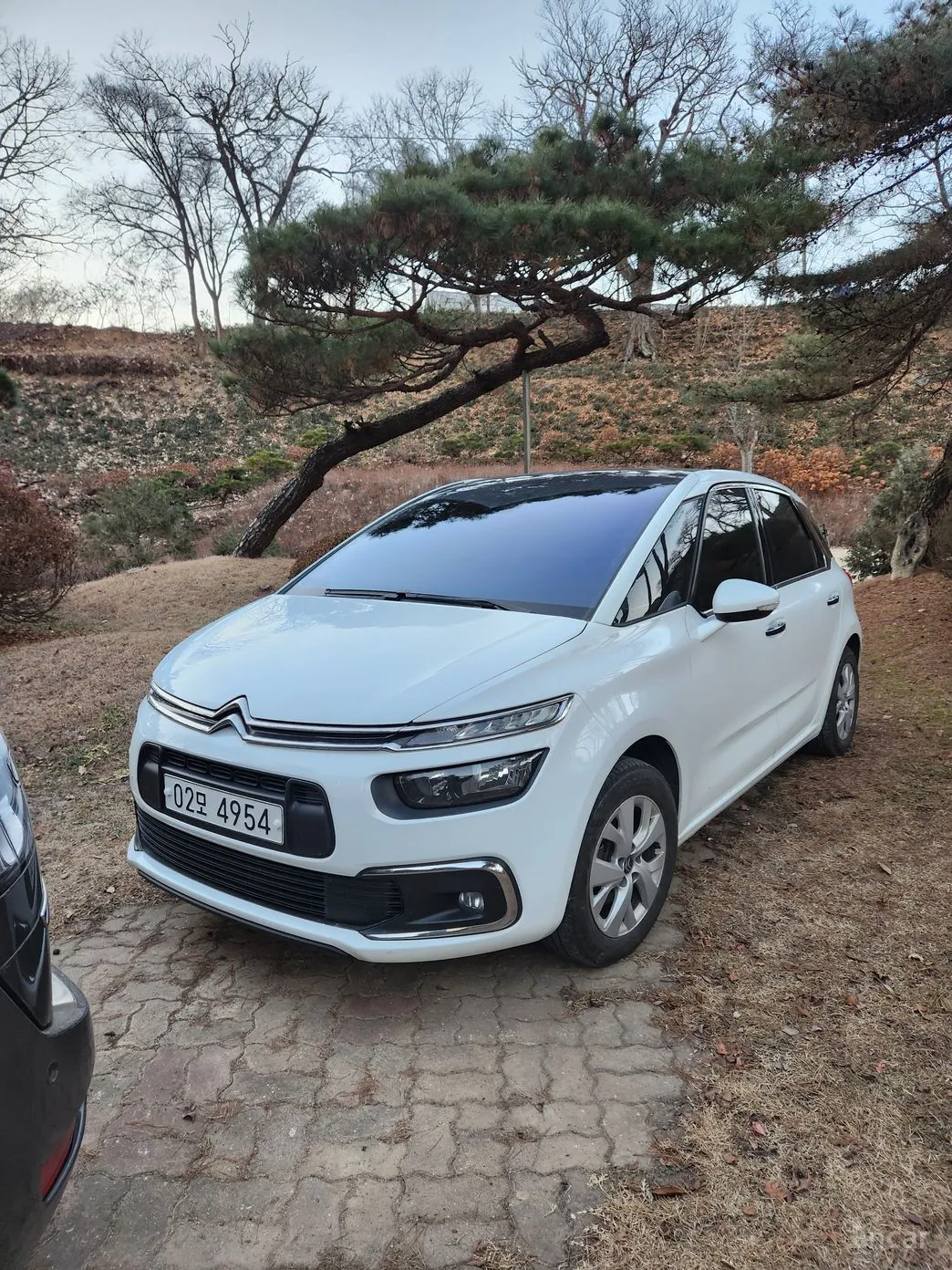 Citroën/DS C4 Picasso