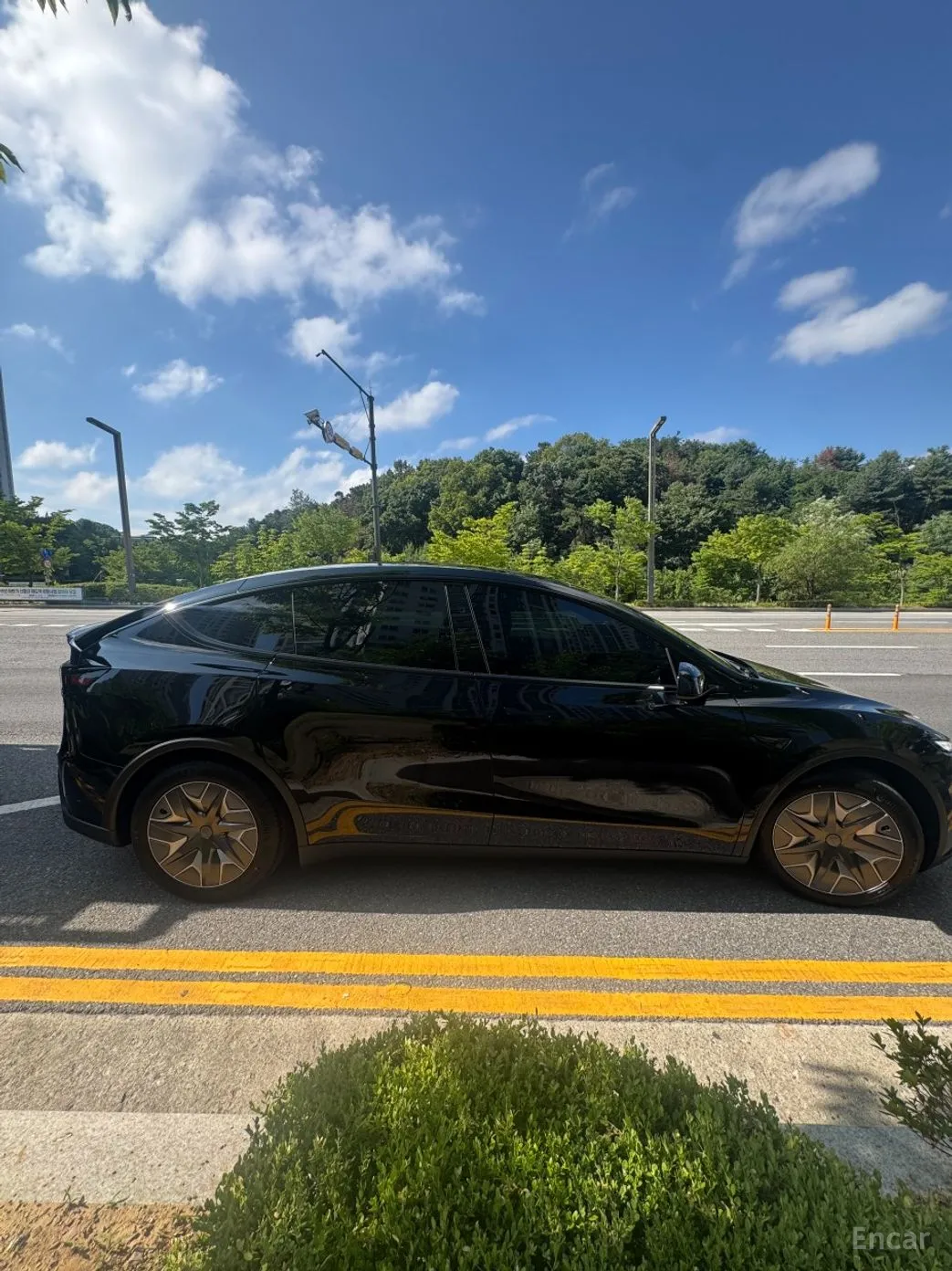 Tesla Model Y превью 3