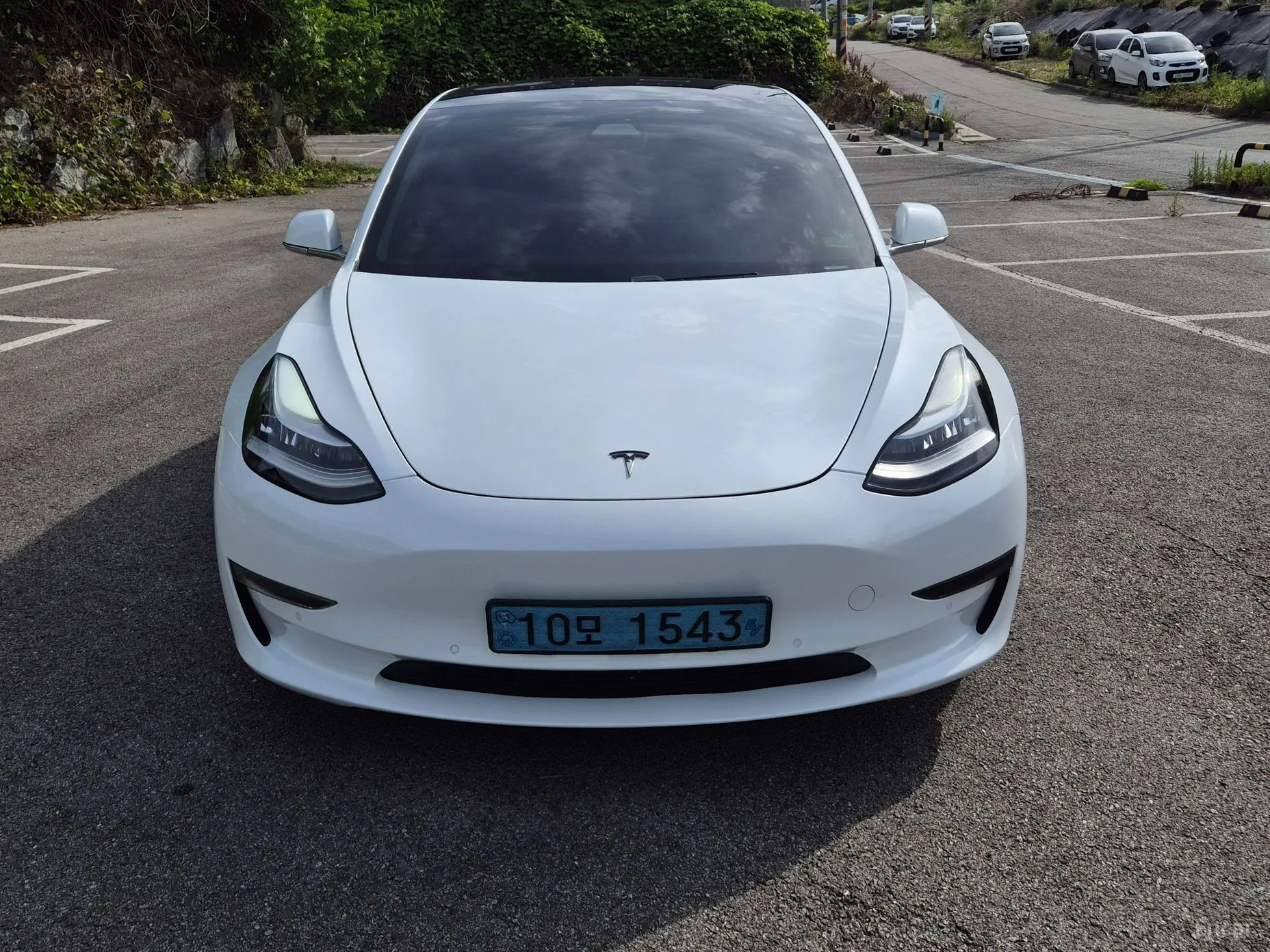 Tesla Model 3 превью 3