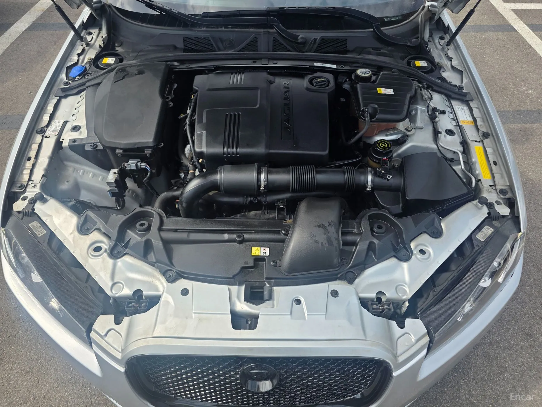 Jaguar New XF превью 6