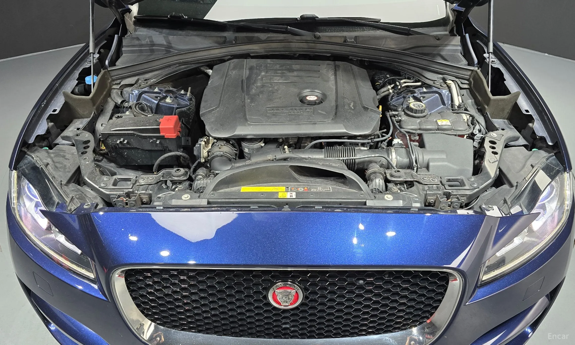 Jaguar F-PACE превью 6