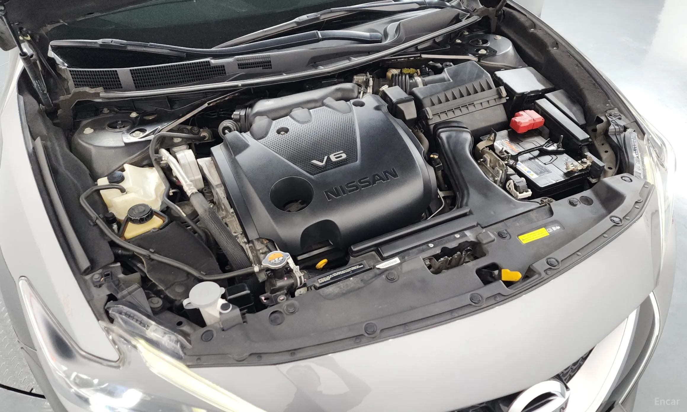 Nissan Maxima (A36) превью 6