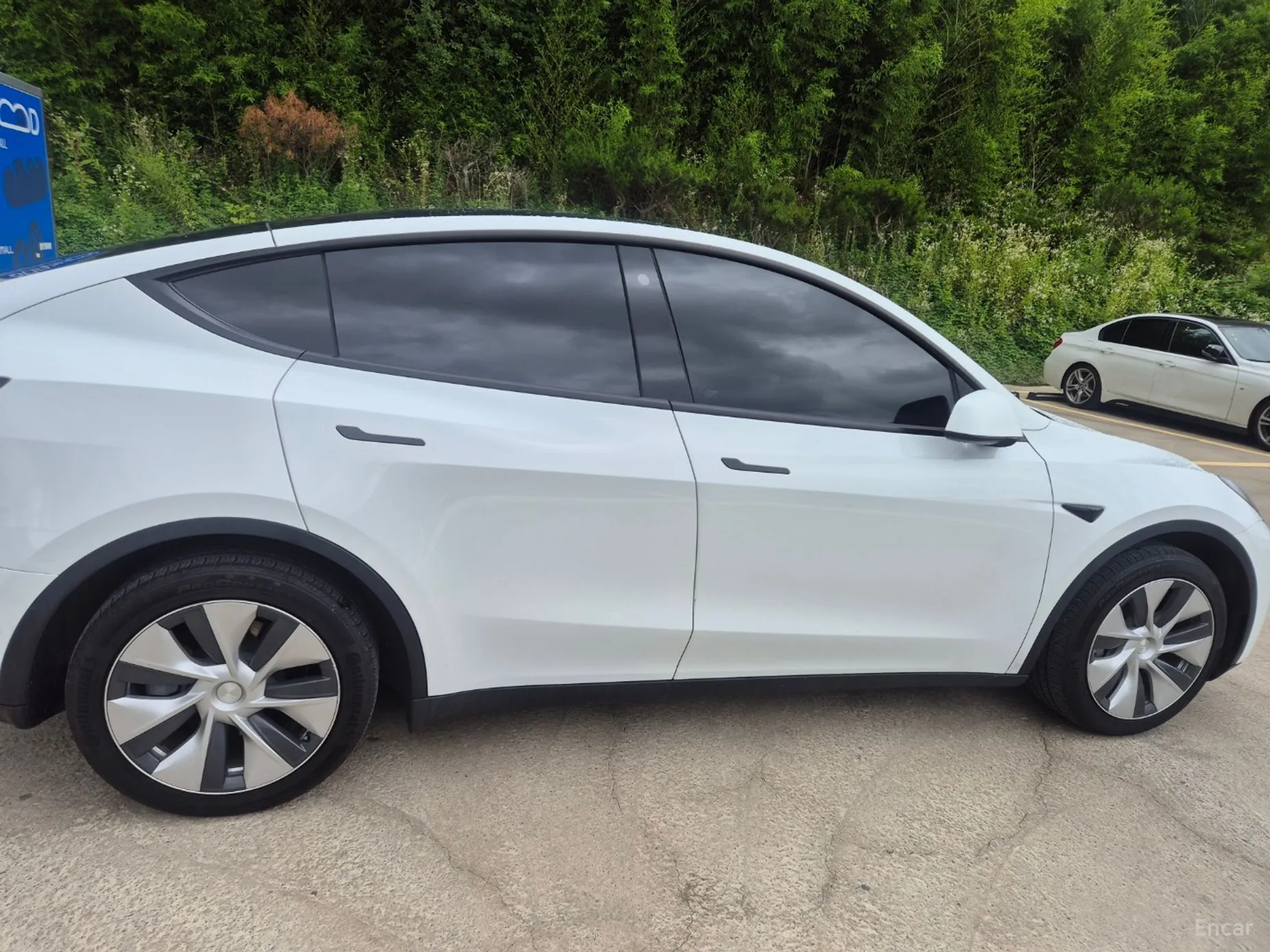 Tesla Model Y превью 3
