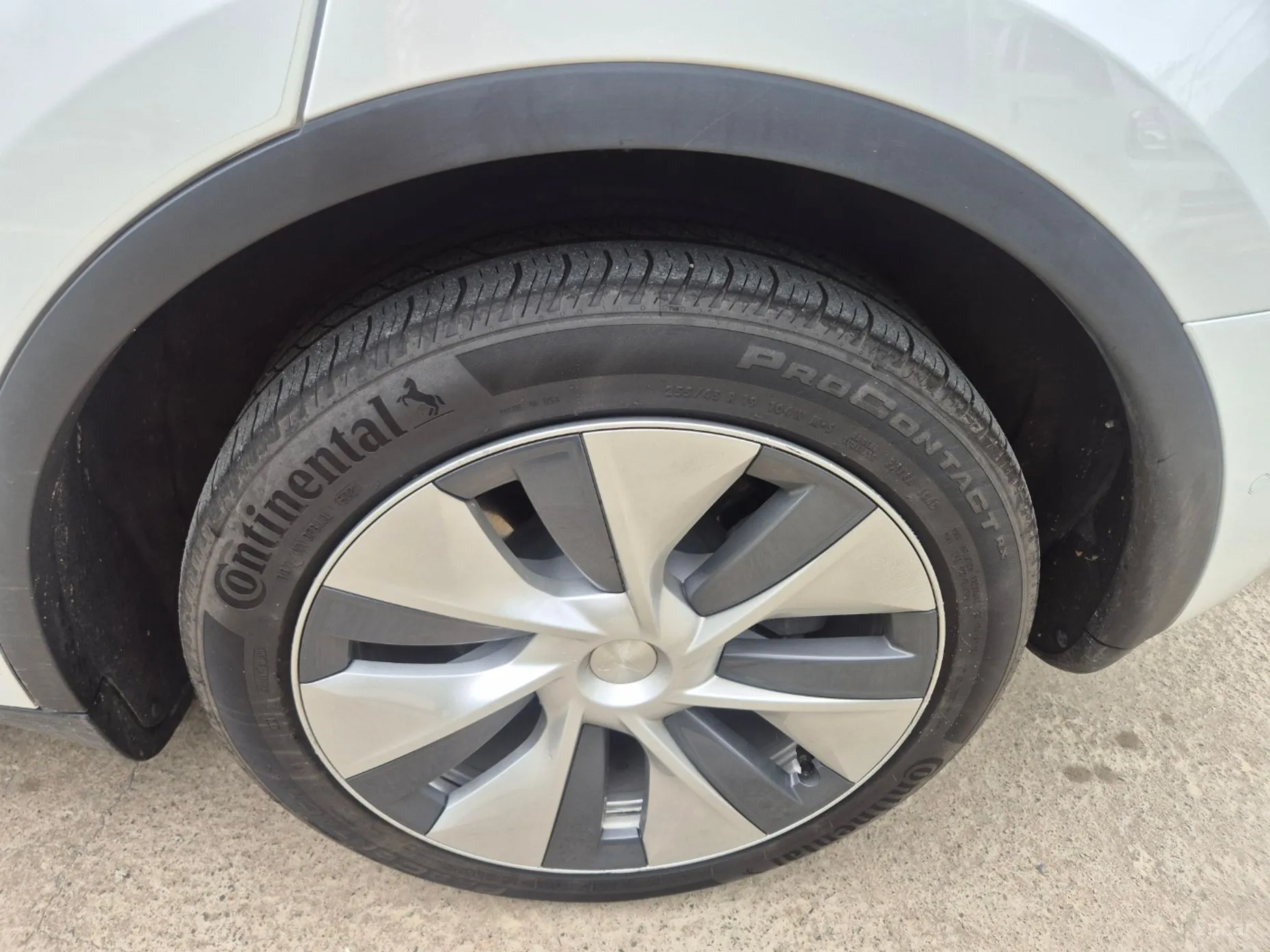 Tesla Model Y превью 6