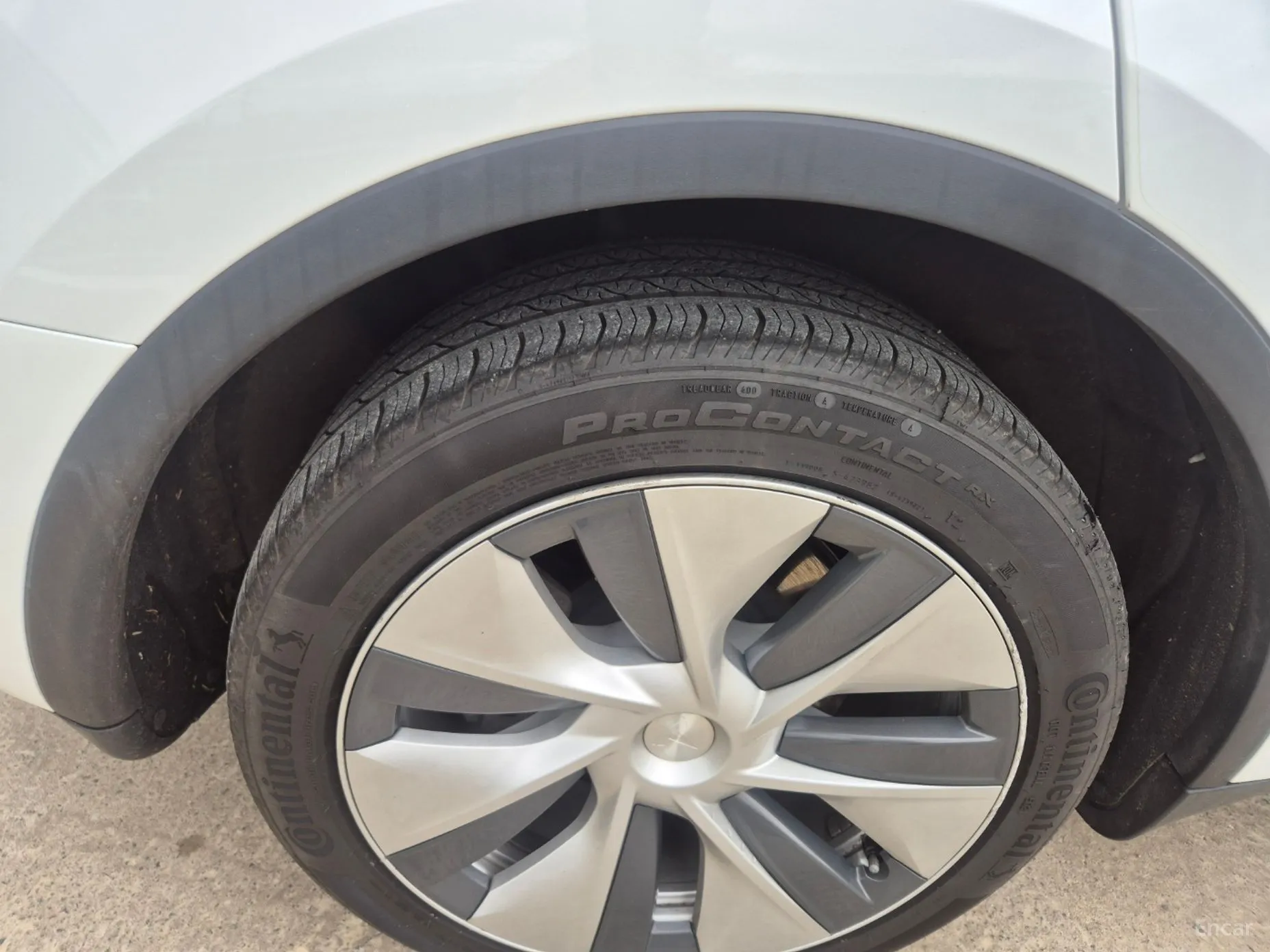 Tesla Model Y превью 9